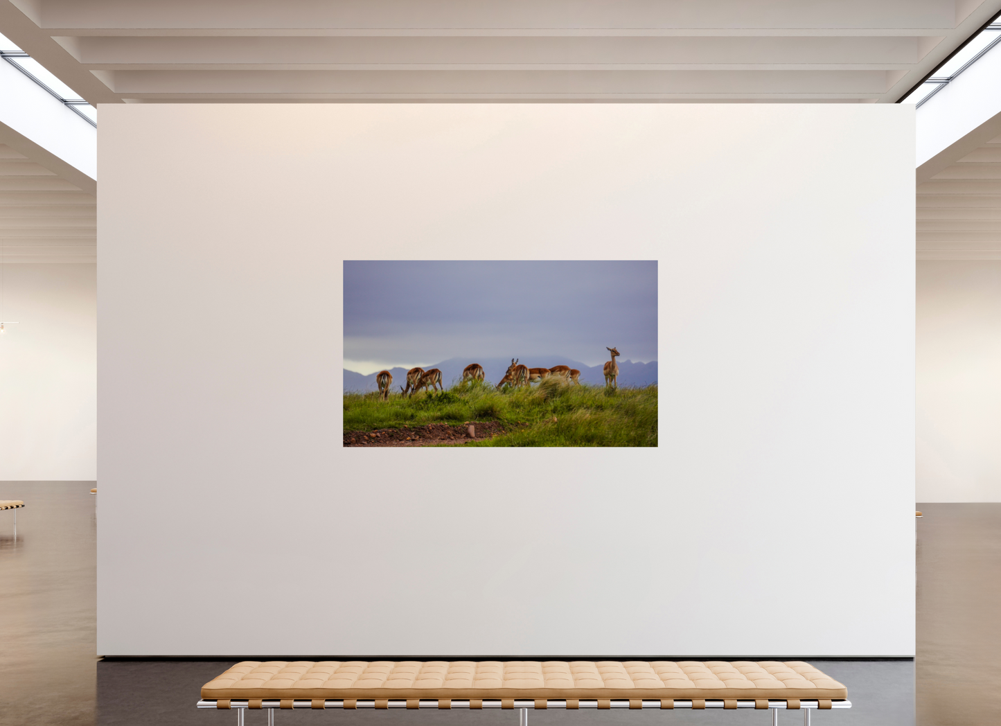 202,1 x 120 cm, Photo Print On Fuji Crystal DP II Gondwana