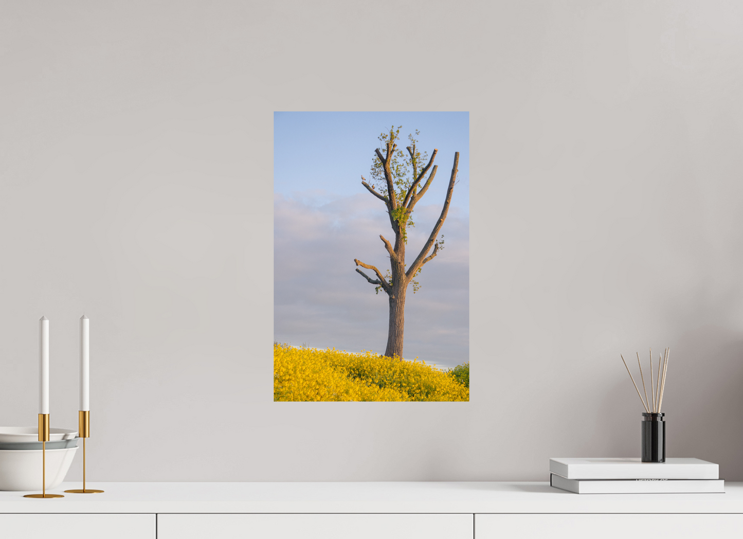 30 x 44,5 cm, Photo Print On Fuji Crystal DP II The Quiet Tree