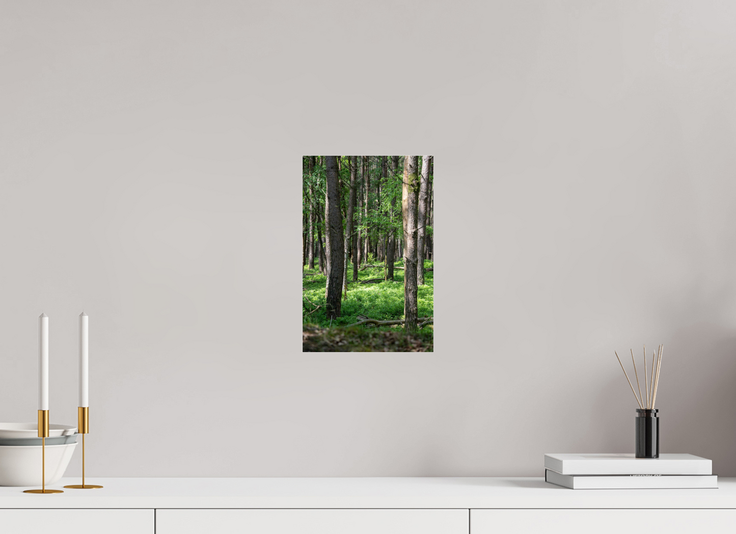 20 x 30 cm, Photo Print Under Acrylic Glass Forest Stillness