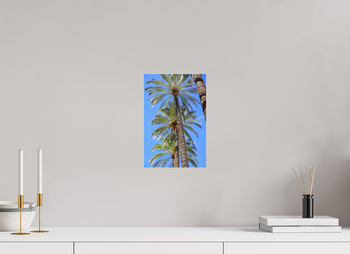 20 x 30 cm, Photo Print Under Acrylic Glass Palmeras