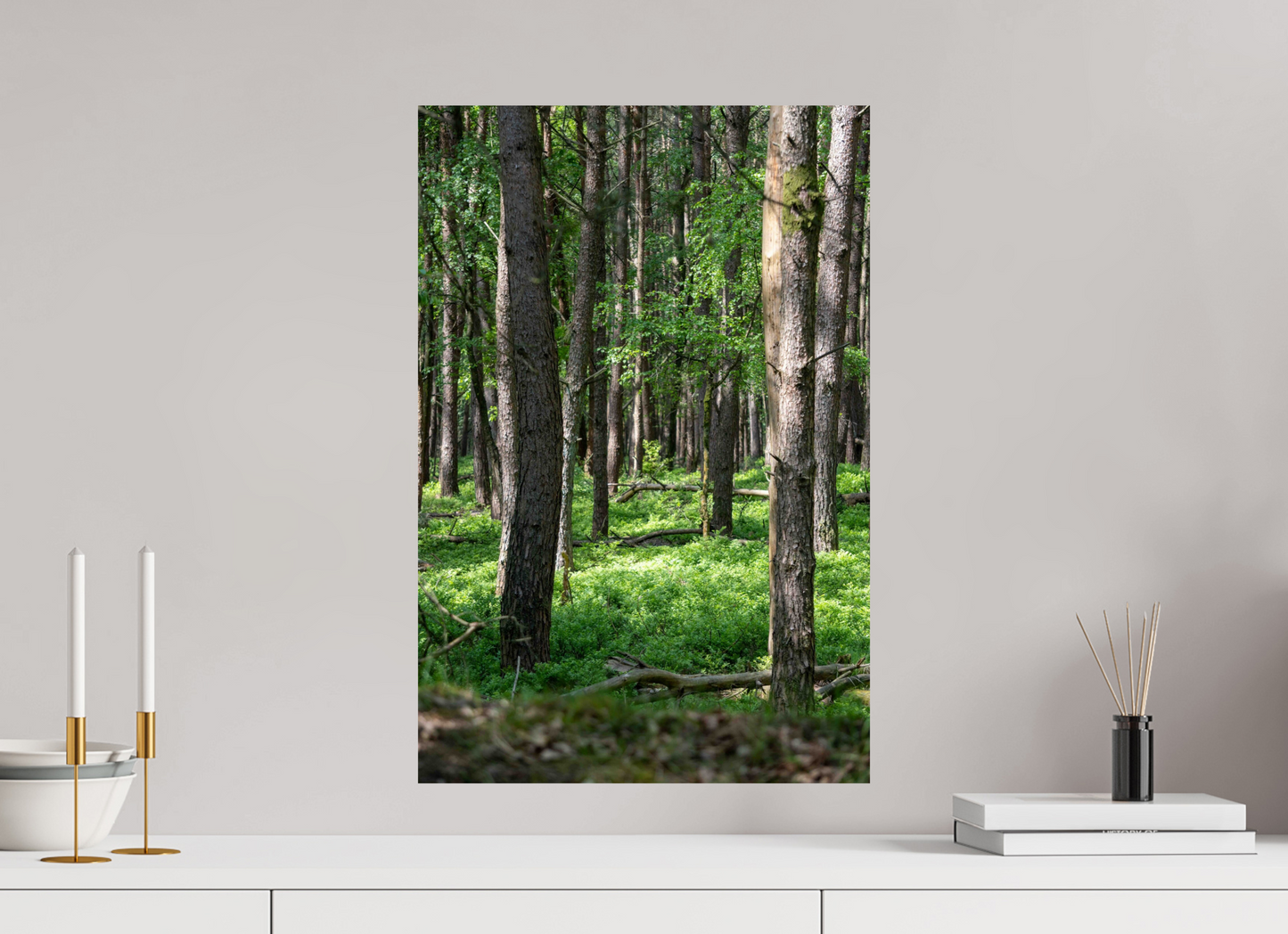40 x 60 cm, Photo Print On Fuji Crystal DP II Forest Stillness