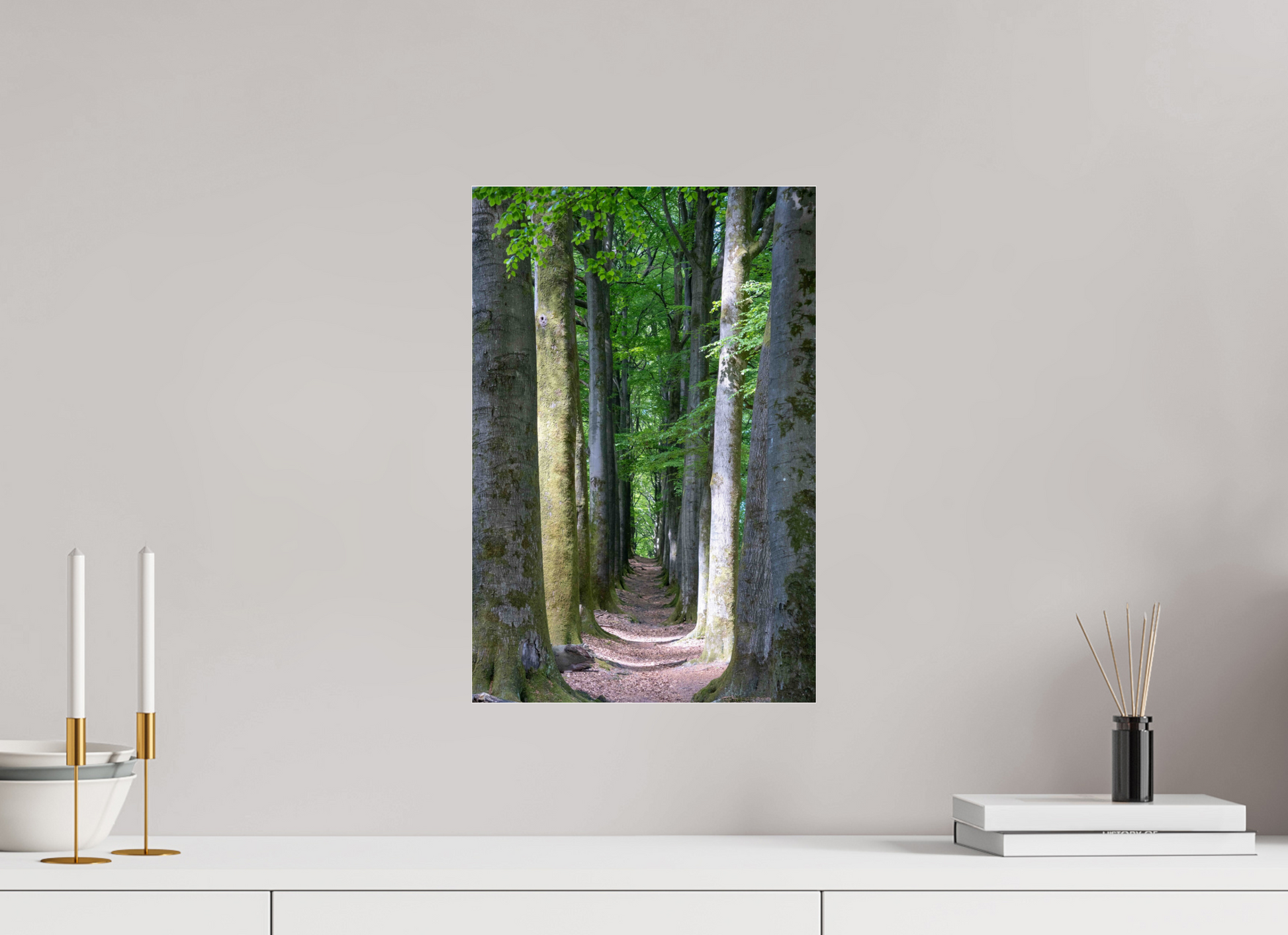 30 x 45 cm, Photo Print Under Acrylic Glass Emerald Corridor