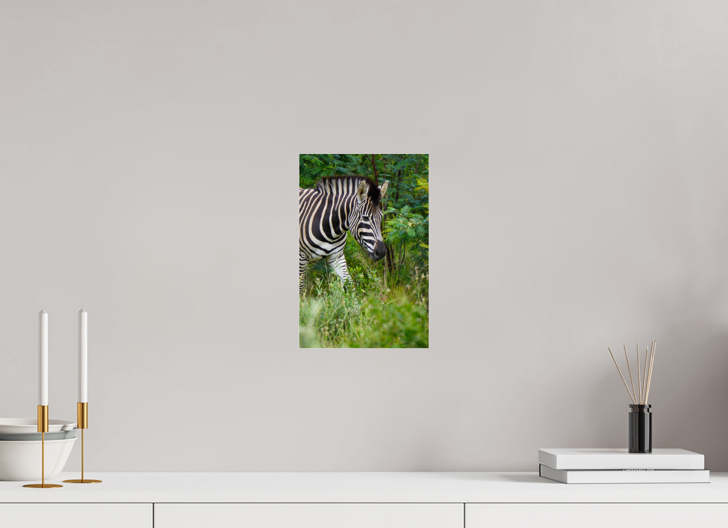 20 x 30 cm, Photo Print Under Acrylic Glass Zebra