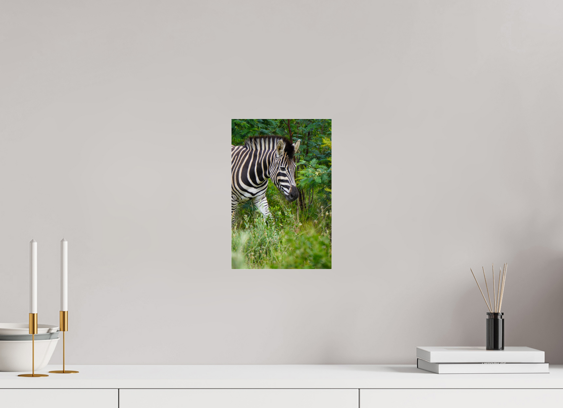 20 x 30 cm, Photo Print Under Acrylic Glass Zebra