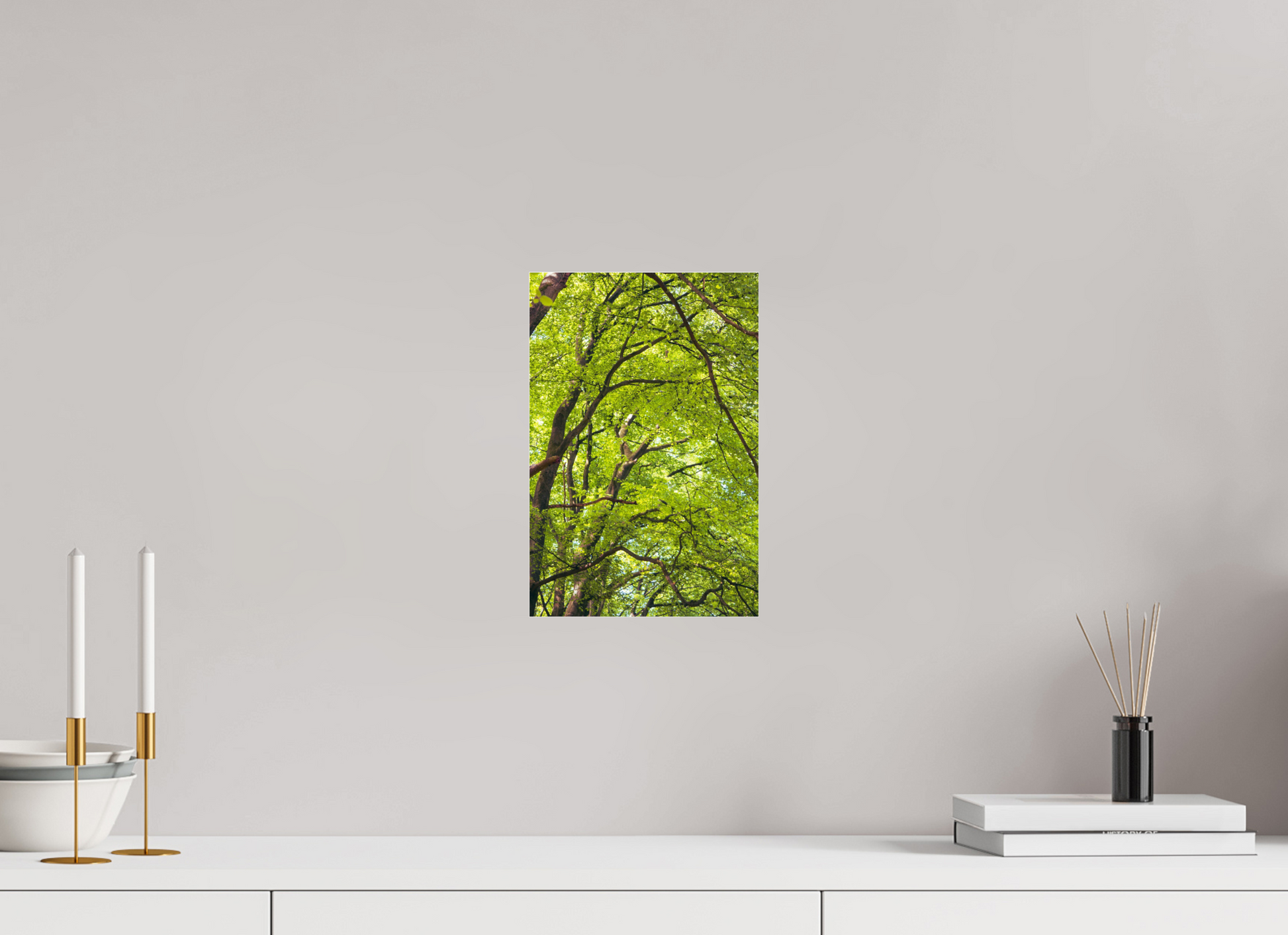 20 x 30 cm, Photo Print Under Acrylic Glass The Green Above