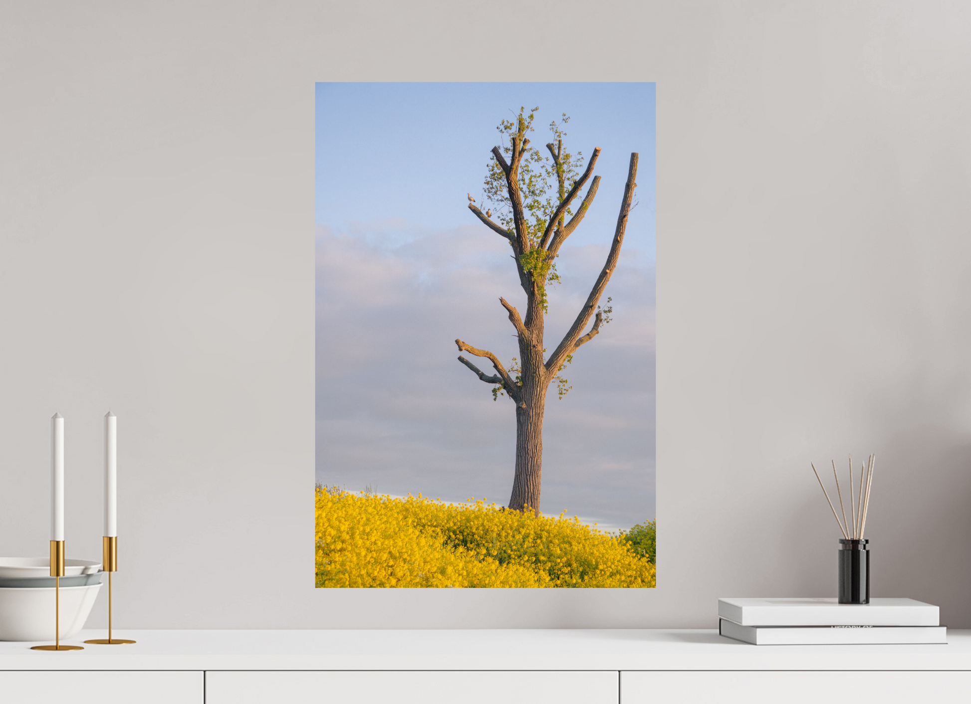 40 x 59,4 cm, Photo Print On Fuji Crystal DP II The Quiet Tree