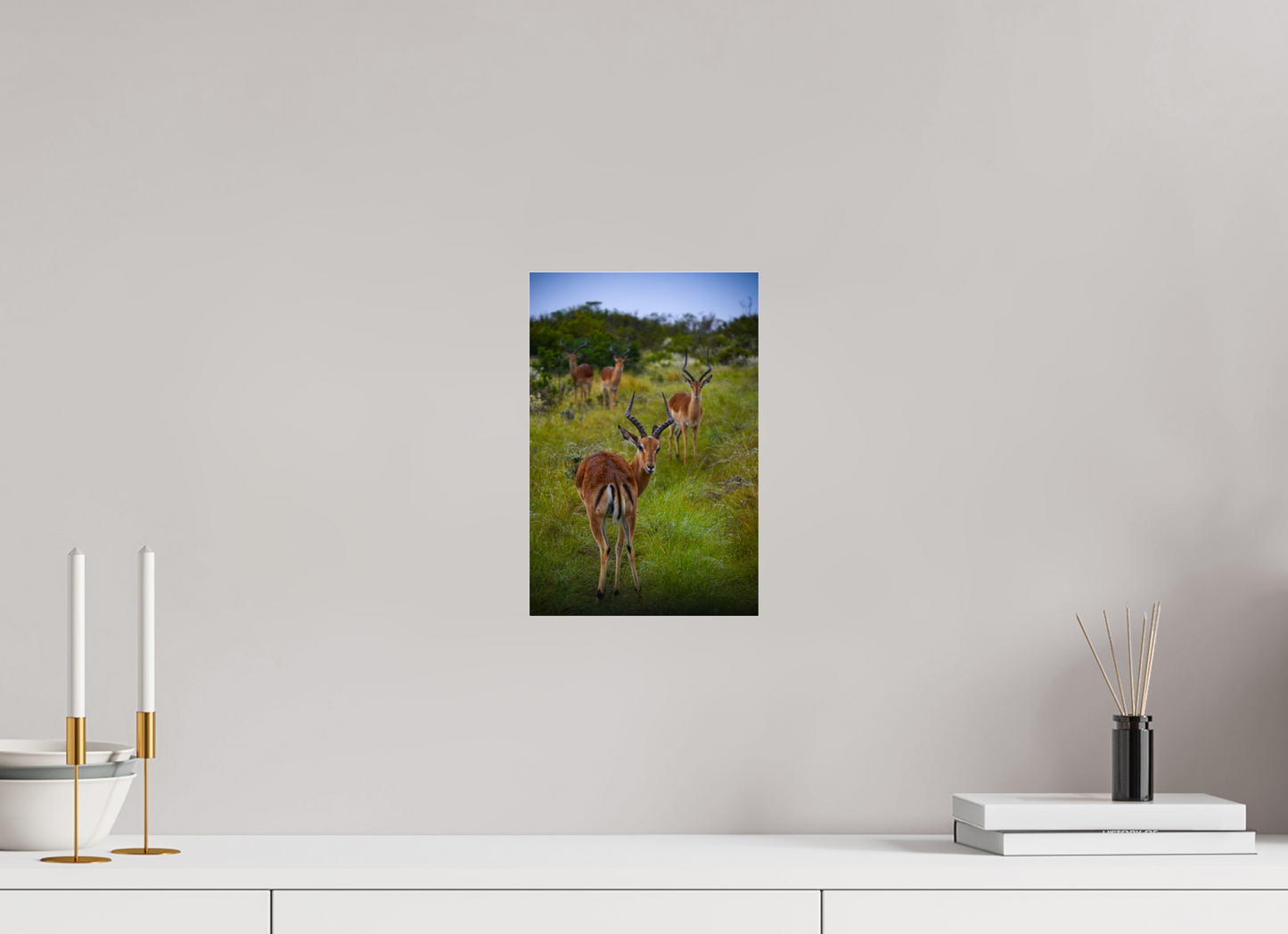 20 x 30 cm, Photo Print Under Acrylic Glass Safari