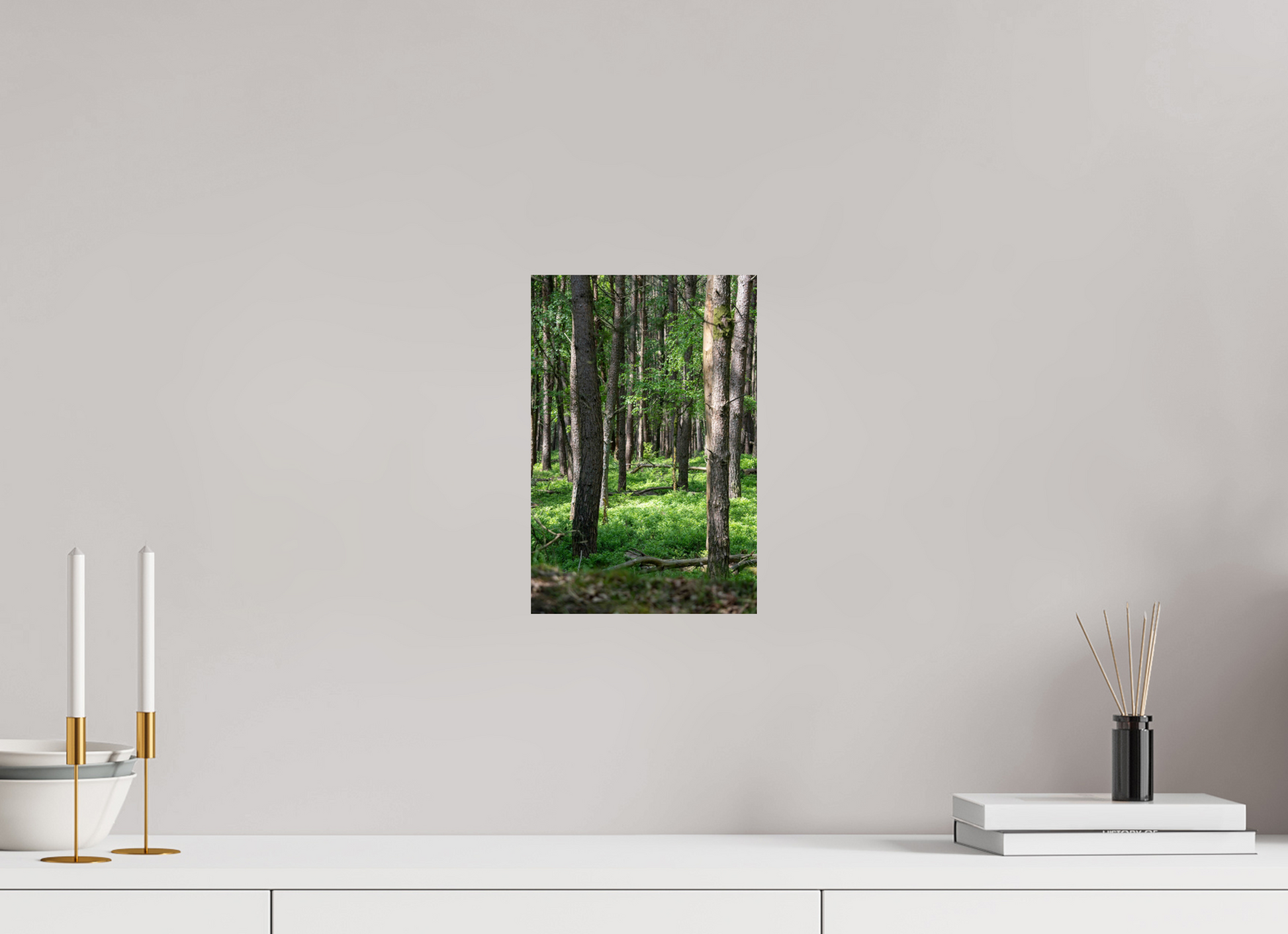 20 x 30 cm, Photo Print On Fuji Crystal DP II Forest Stillness