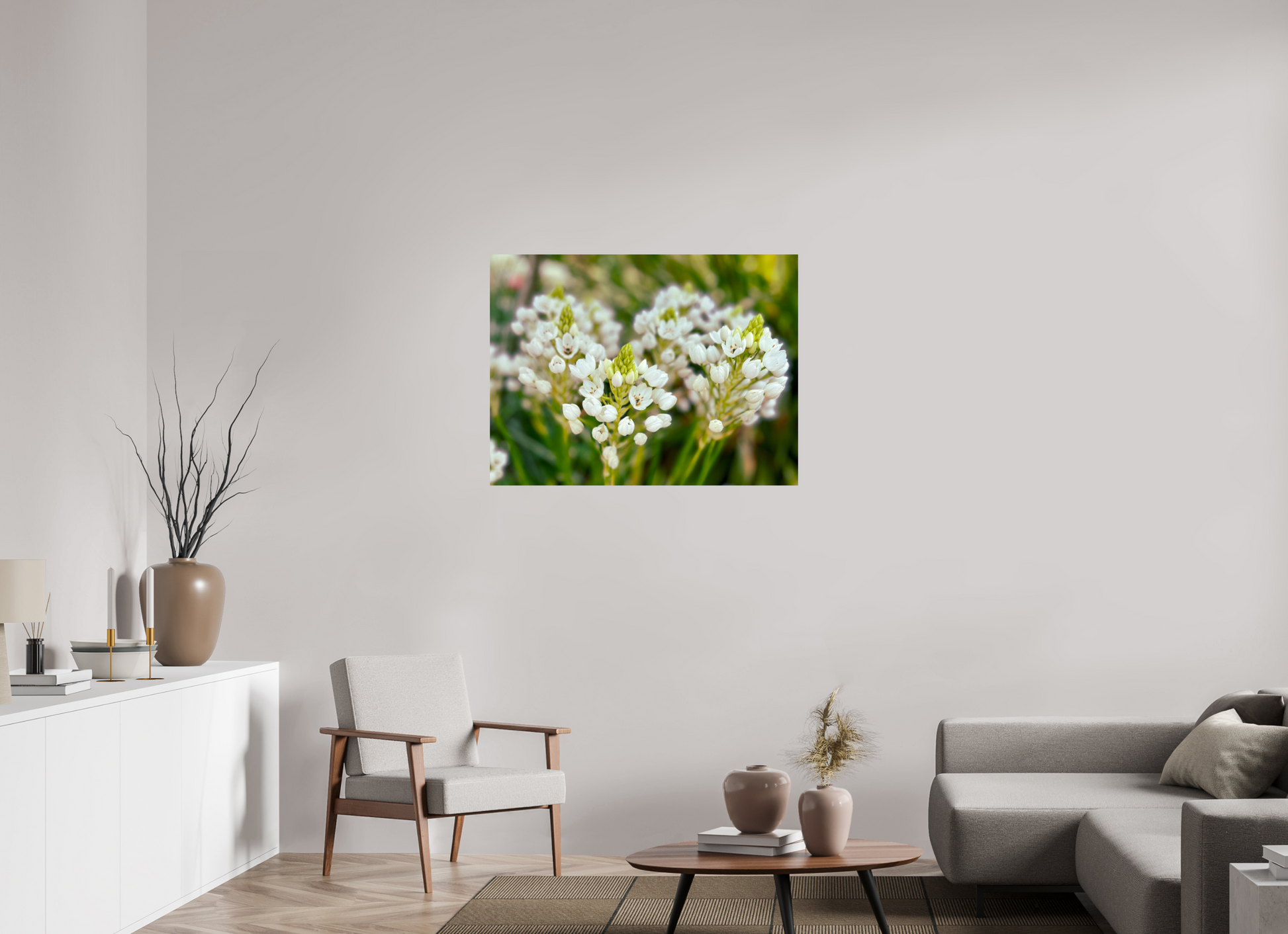 100 x 75 cm, Photo Print On Fuji Crystal DP II Ornithogalum Arabicum