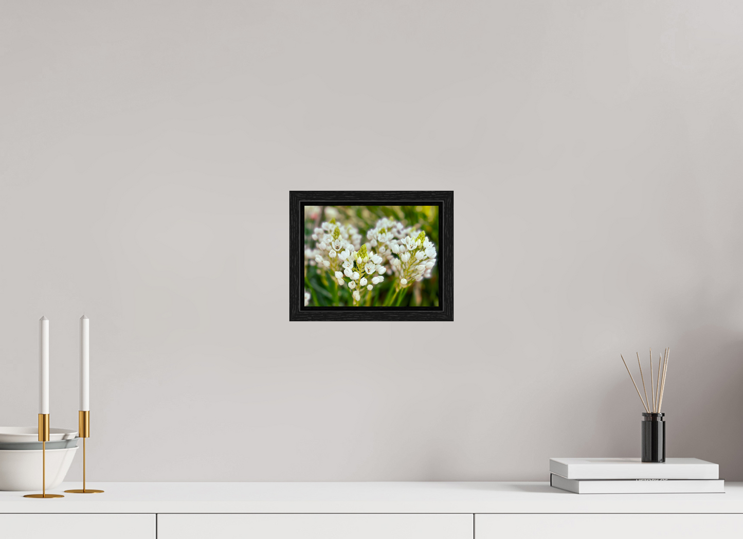 20 x 15 cm, Floater Frame Ornithogalum Arabicum