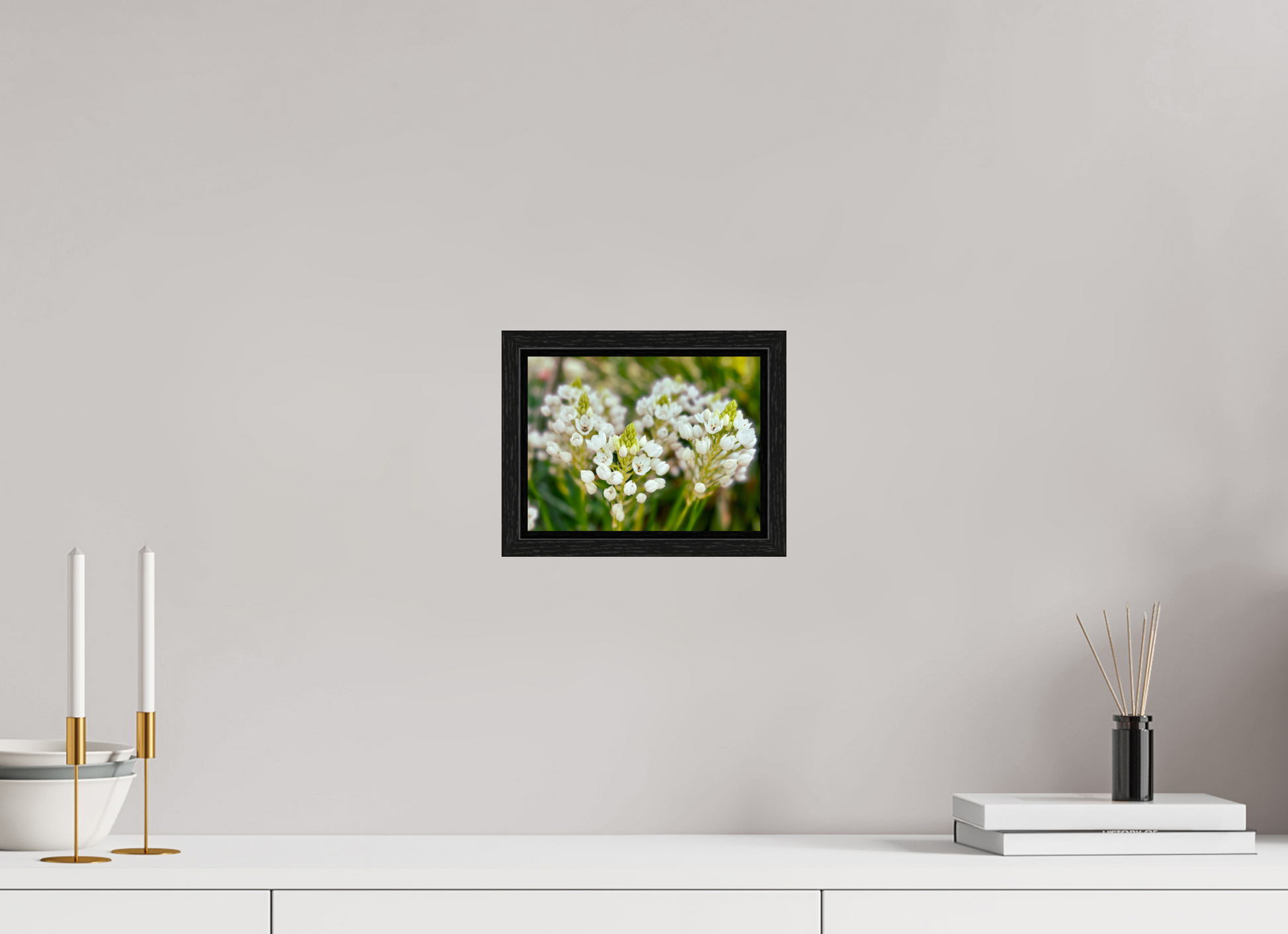 20 x 15 cm, Floater Frame Ornithogalum Arabicum