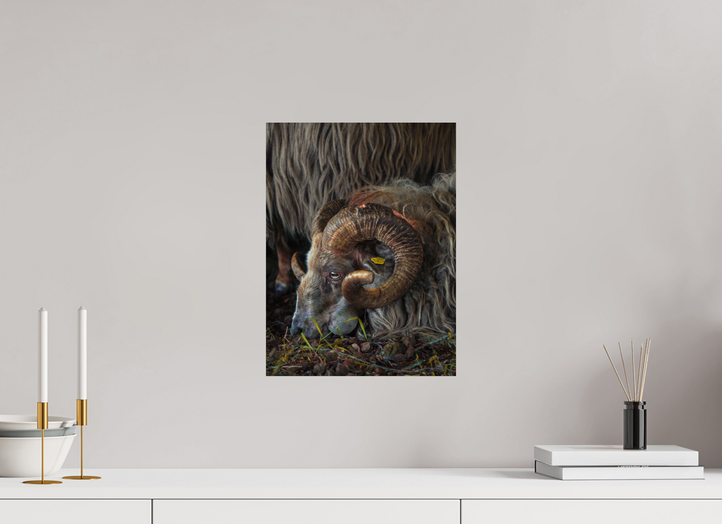 30 x 40 cm, Photo Print On Fuji Crystal DP II Drentse heidenschaap
