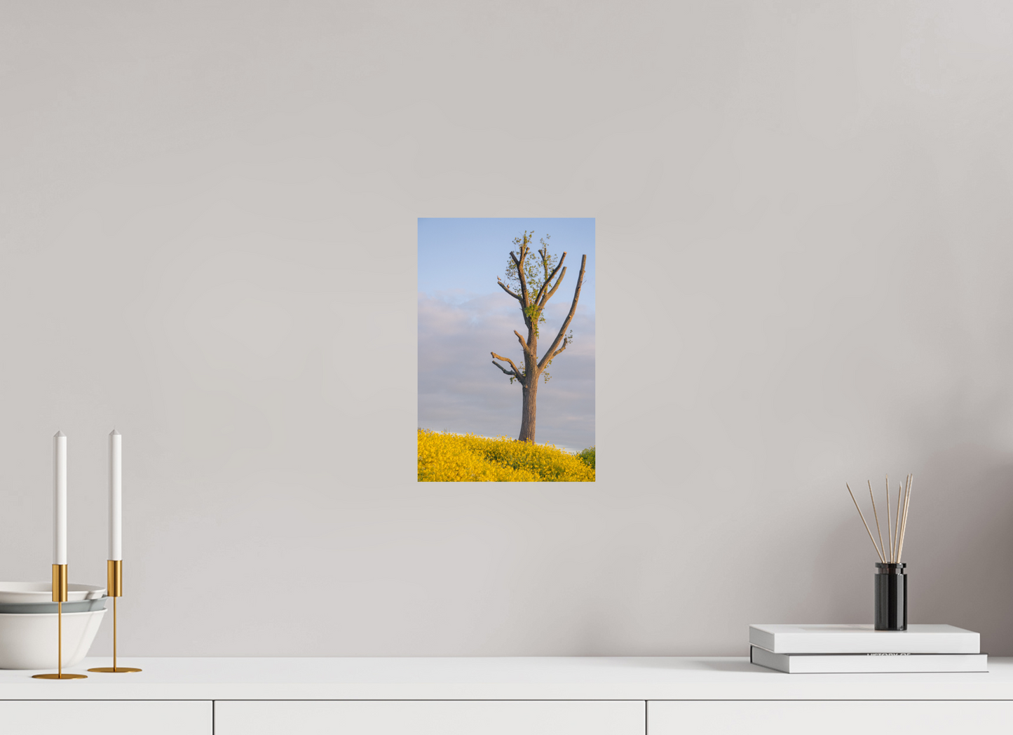 20 x 29,7 cm, Photo Print On Fuji Crystal DP II The Quiet Tree