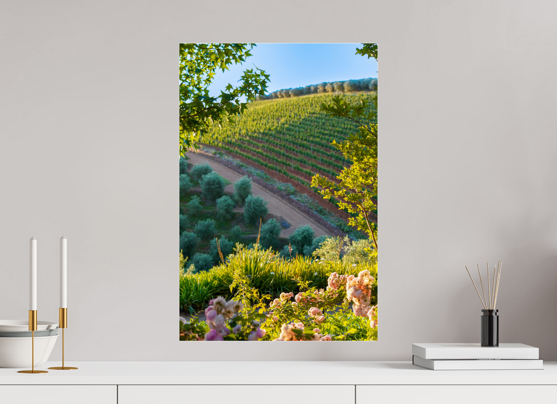 40 x 60 cm, Photo Print Under Acrylic Glass Stellenbosch fields