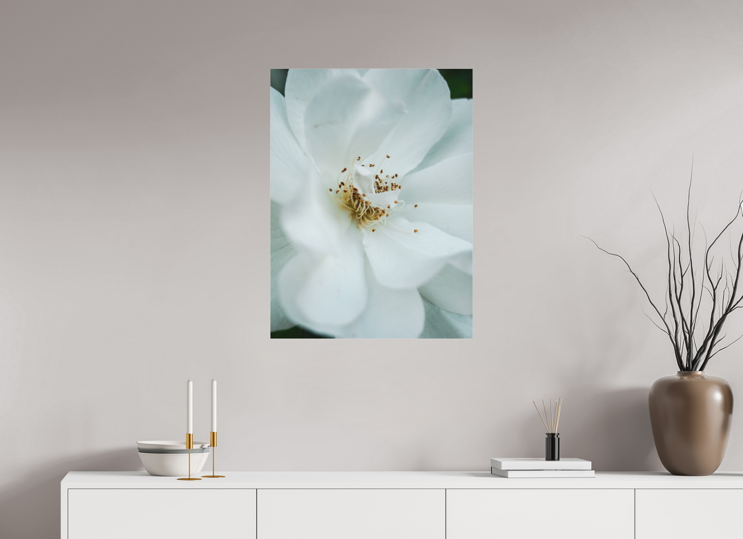 60 x 80 cm, Photo Print Under Acrylic Glass White camelia