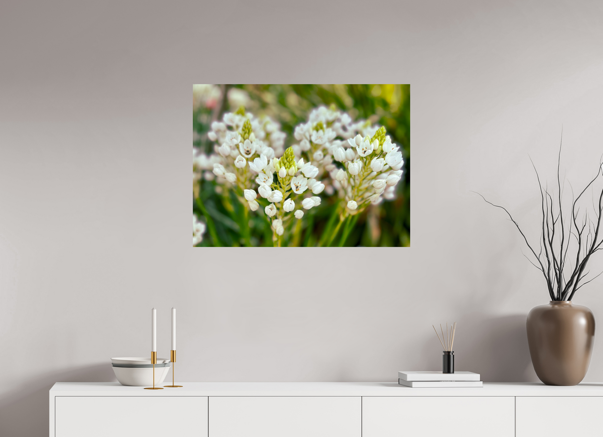80 x 60 cm, Photo Print On Fuji Crystal DP II Ornithogalum Arabicum