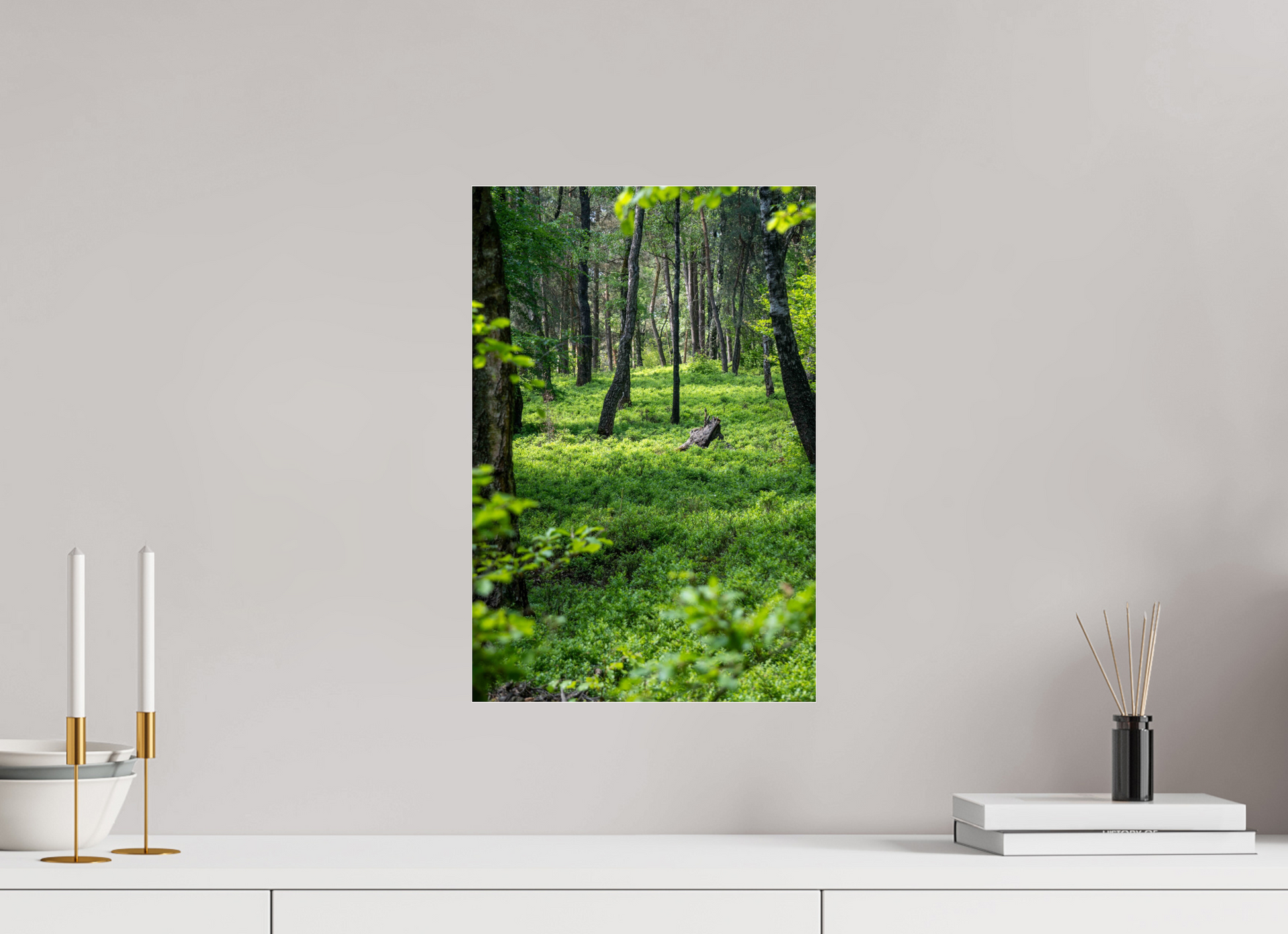 30 x 45 cm, Photo Print Under Acrylic Glass The Forest Heart