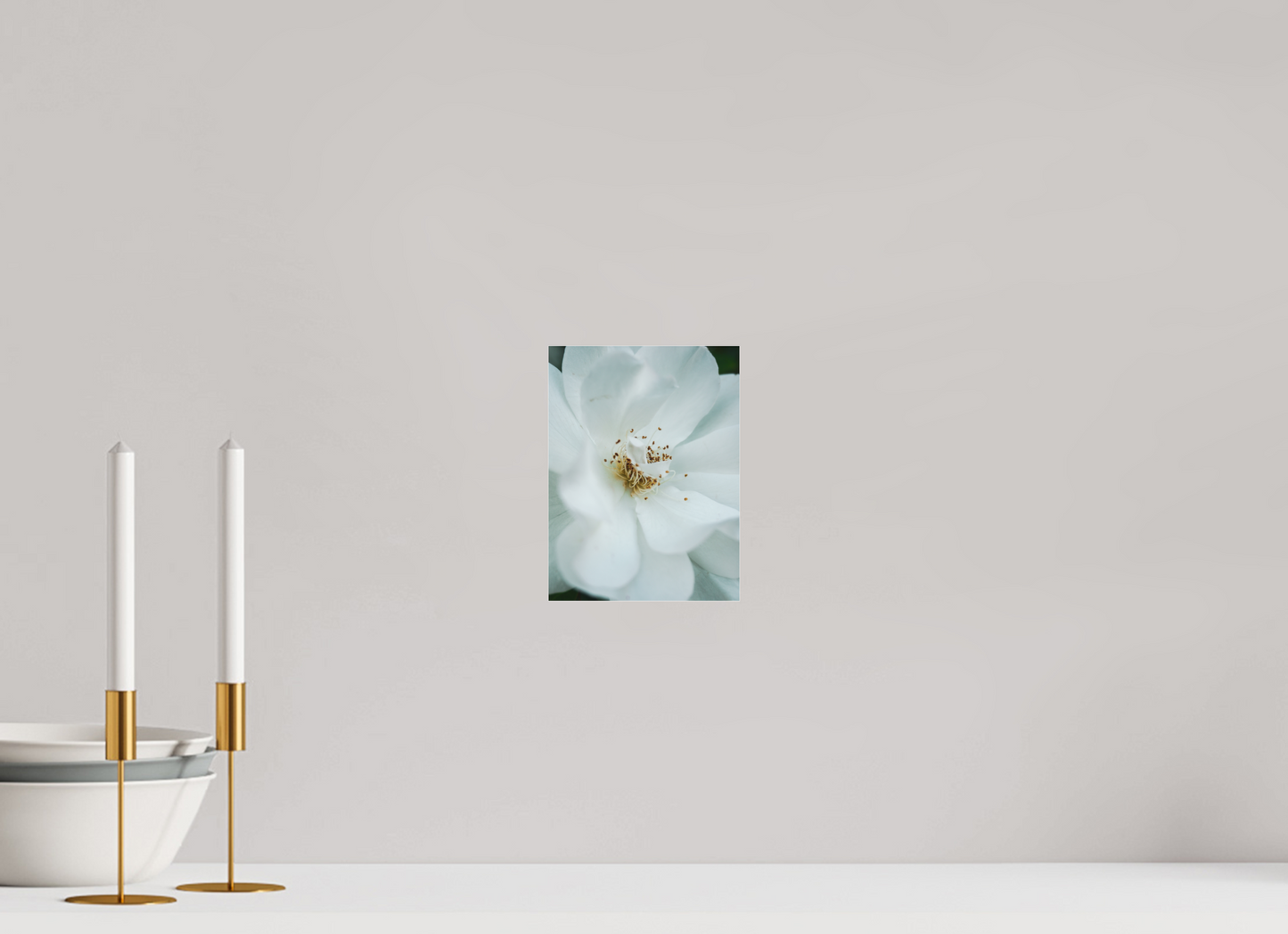 15 x 20 cm, Photo Print Under Acrylic Glass White camelia