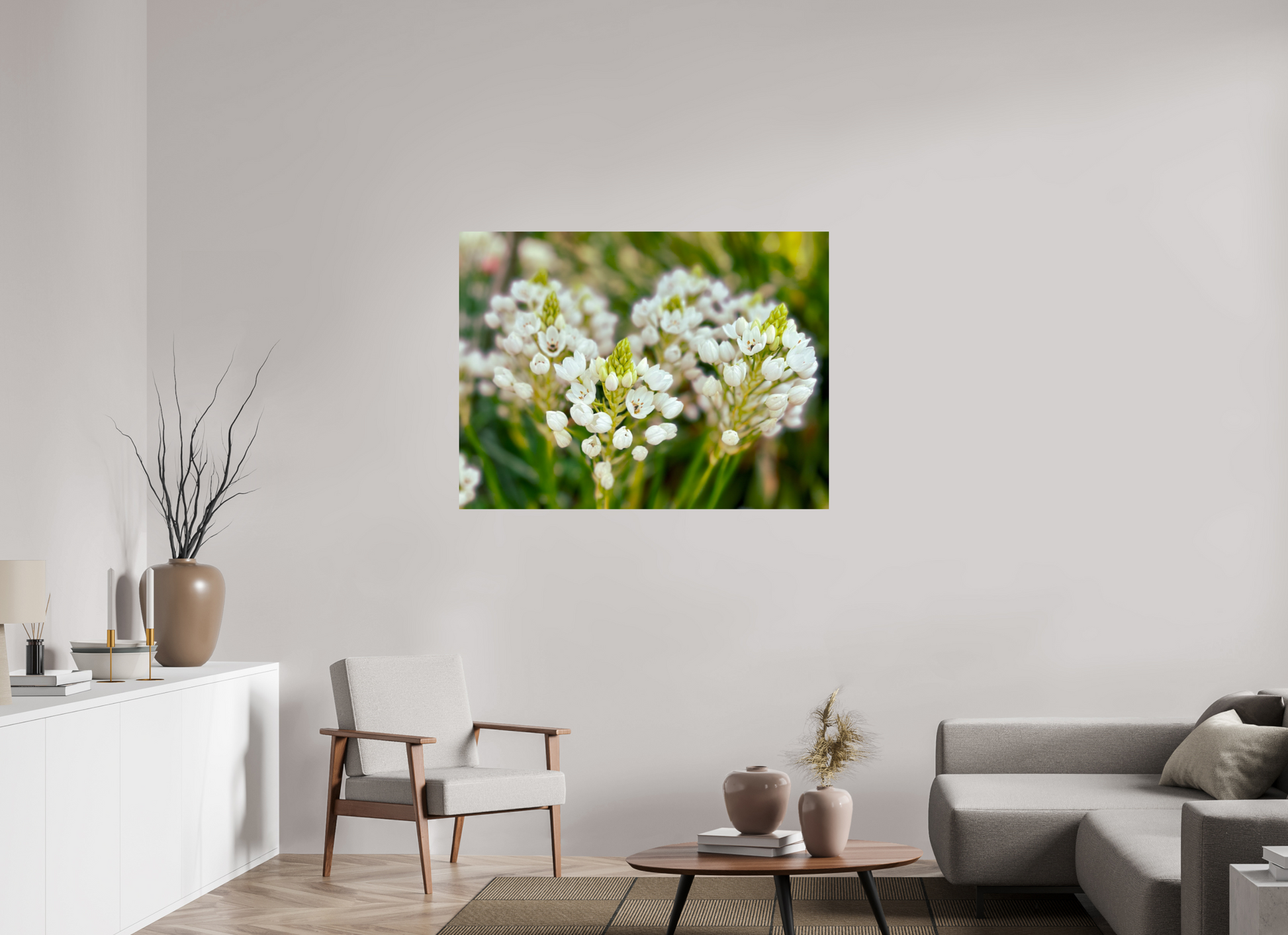 120 x 90 cm, Photo Print On Fuji Crystal DP II Ornithogalum Arabicum