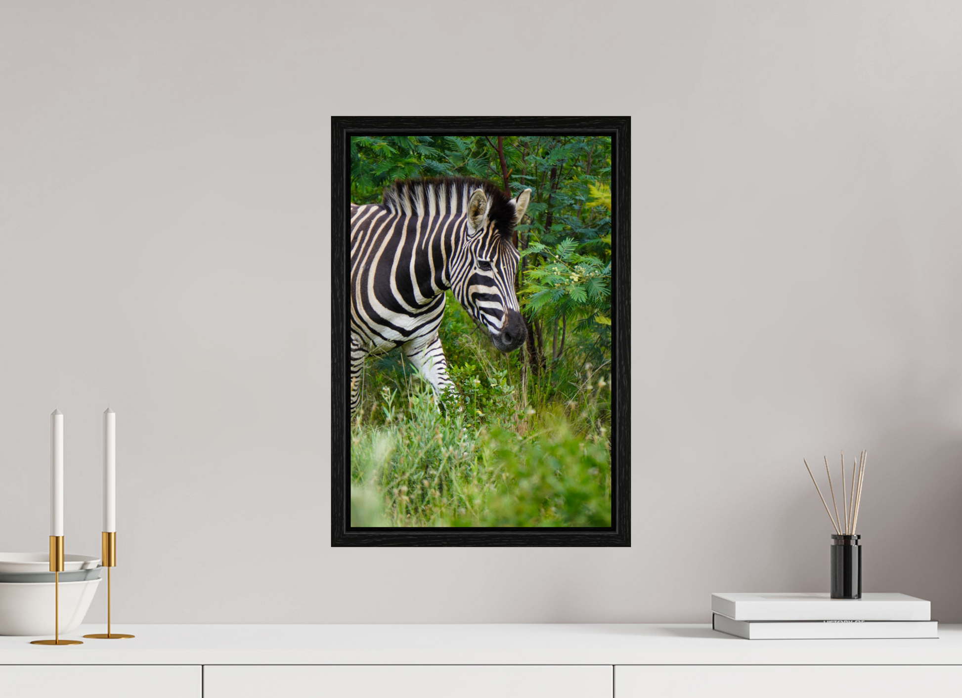 30 x 45 cm, Floater Frame Zebra