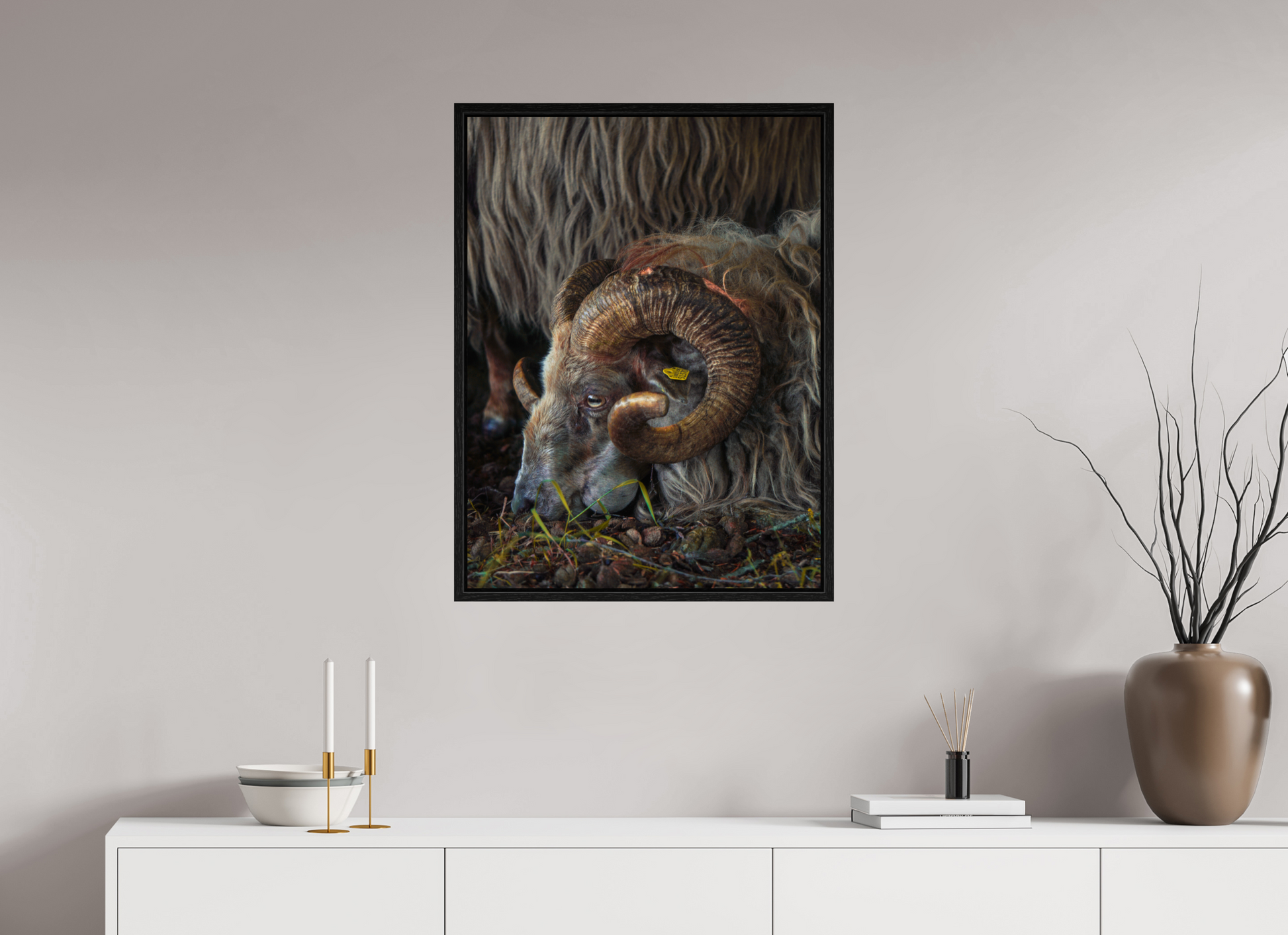 60 x 80 cm, Floater Frame Drentse heidenschaap