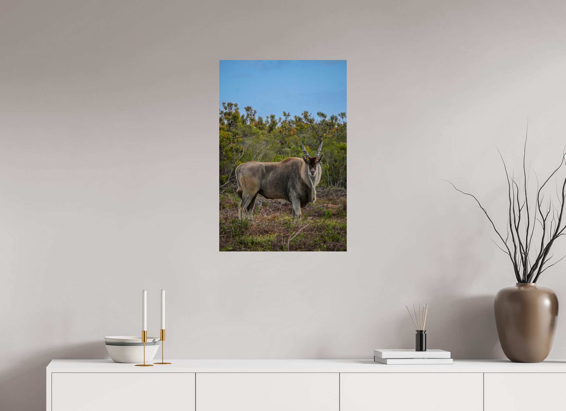 50 x 75 cm, Photo Print On Fuji Crystal DP II Eland Antilope