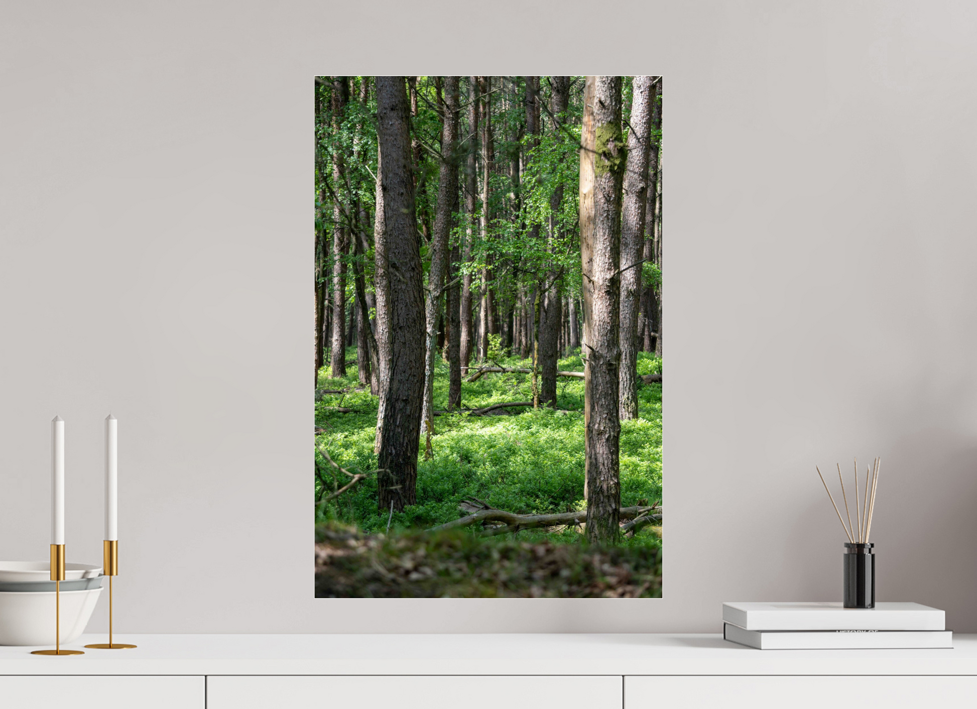 40 x 60 cm, Photo Print Under Acrylic Glass Forest Stillness
