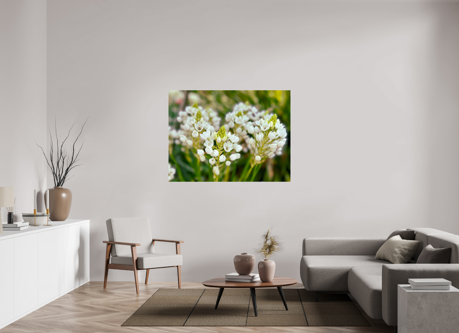 140 x 105 cm, Photo Print On Fuji Crystal DP II Ornithogalum Arabicum