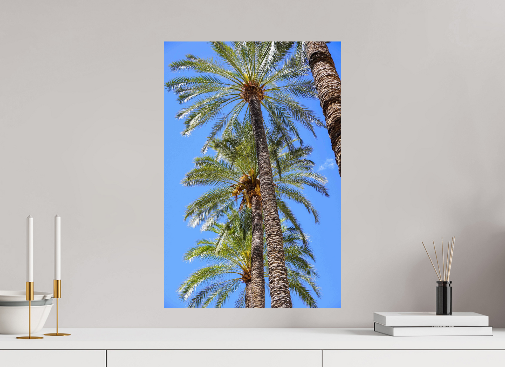 40 x 60 cm, Photo Print On Fuji Crystal DP II Palmeras