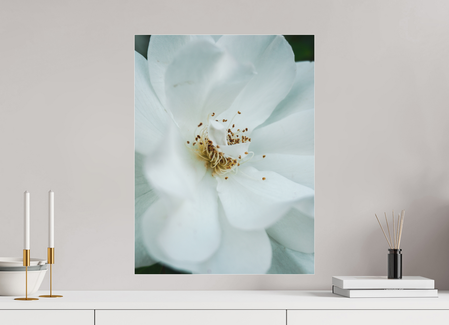 45 x 60 cm, Photo Print Under Acrylic Glass White camelia