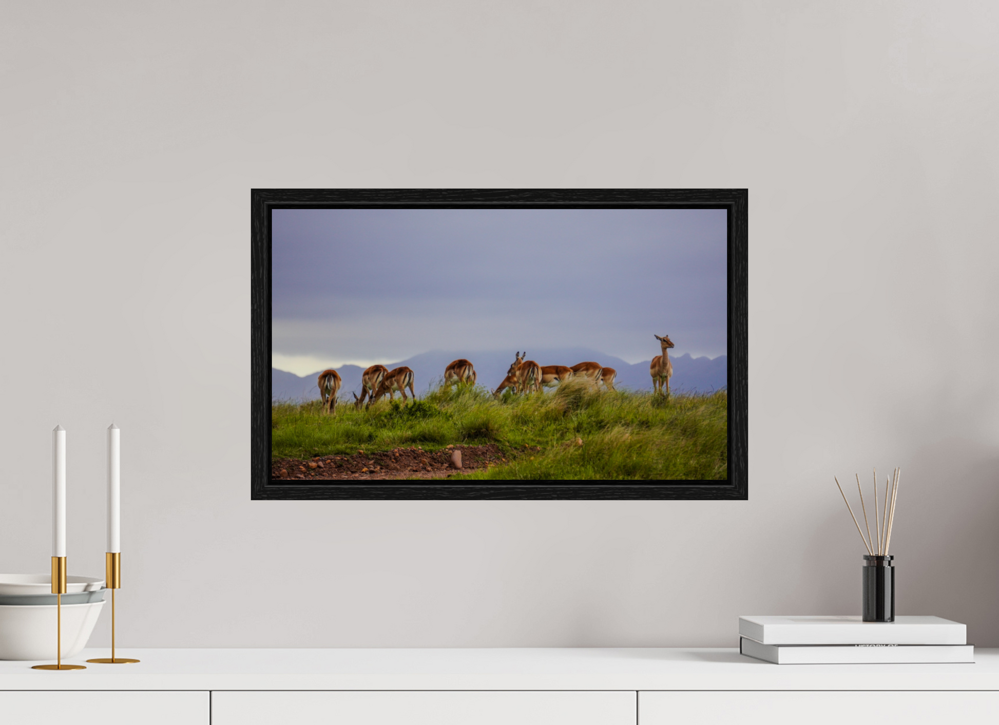50,5 x 30 cm, Floater Frame Gondwana