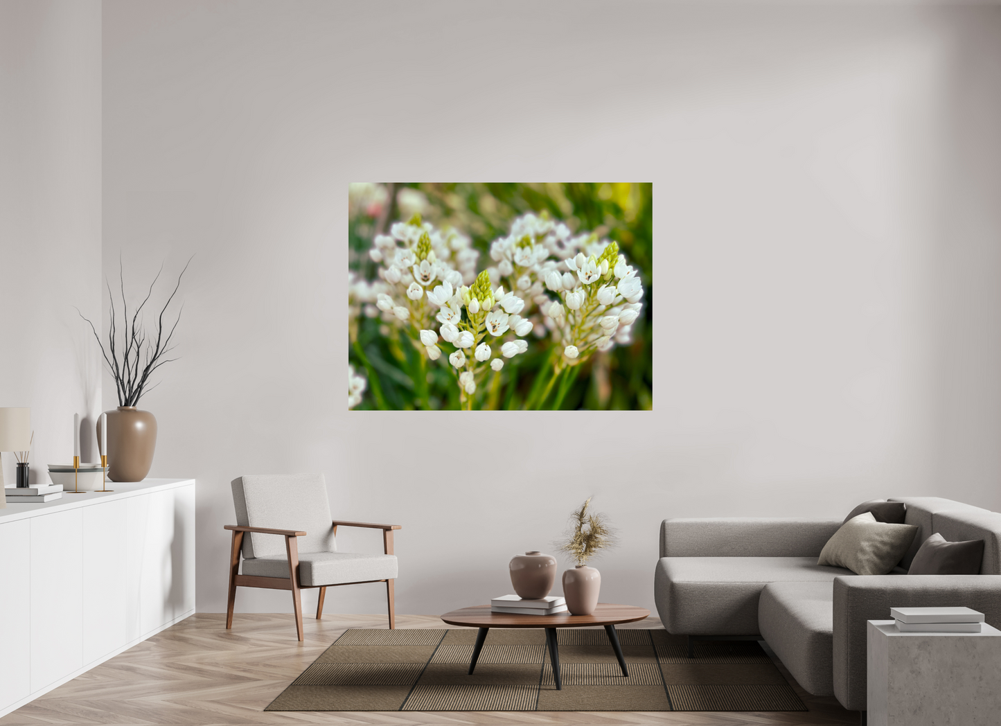 160 x 120 cm, Photo Print On Fuji Crystal DP II Ornithogalum Arabicum