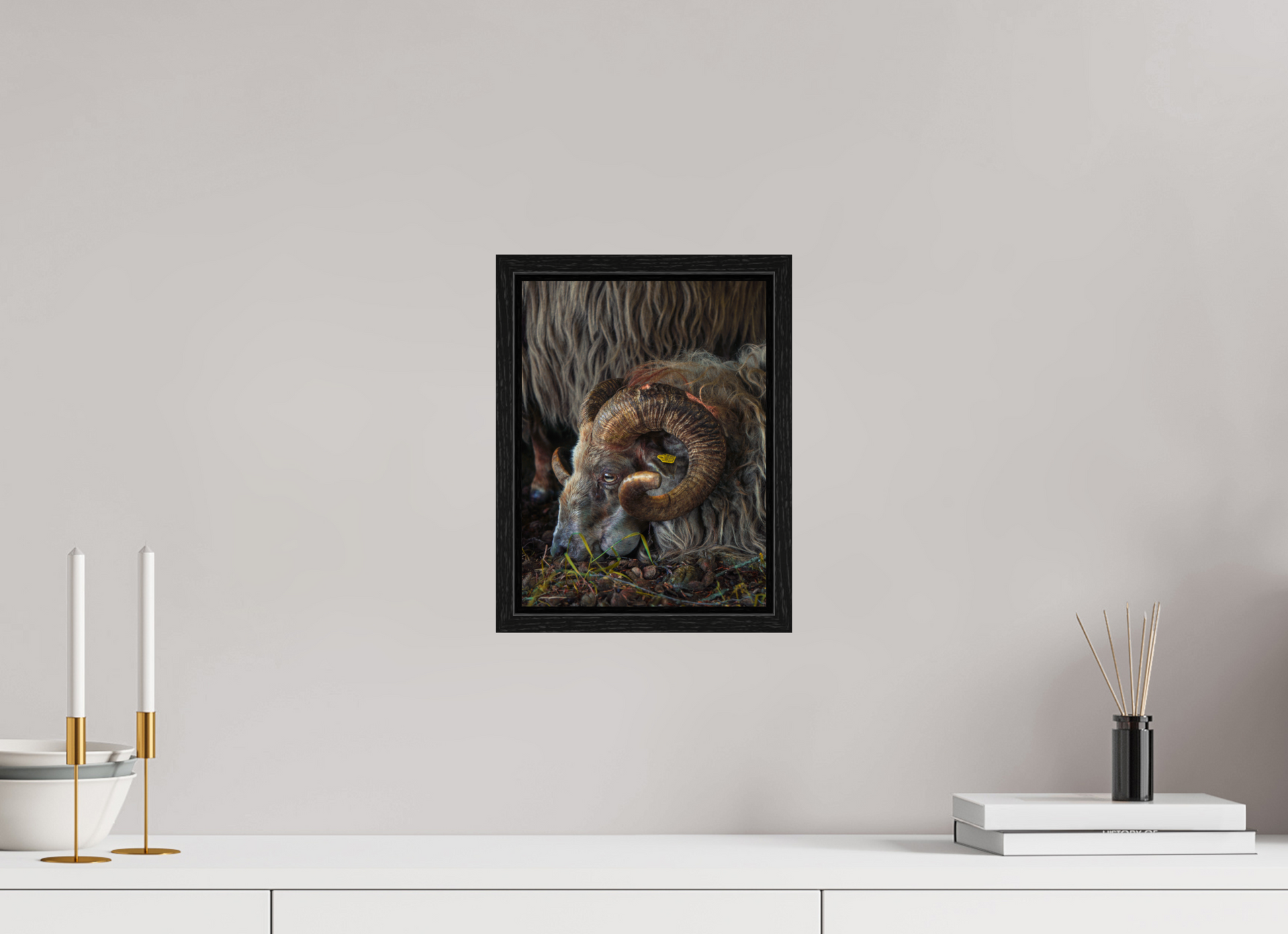 21 x 28 cm, Floater Frame Drentse heidenschaap