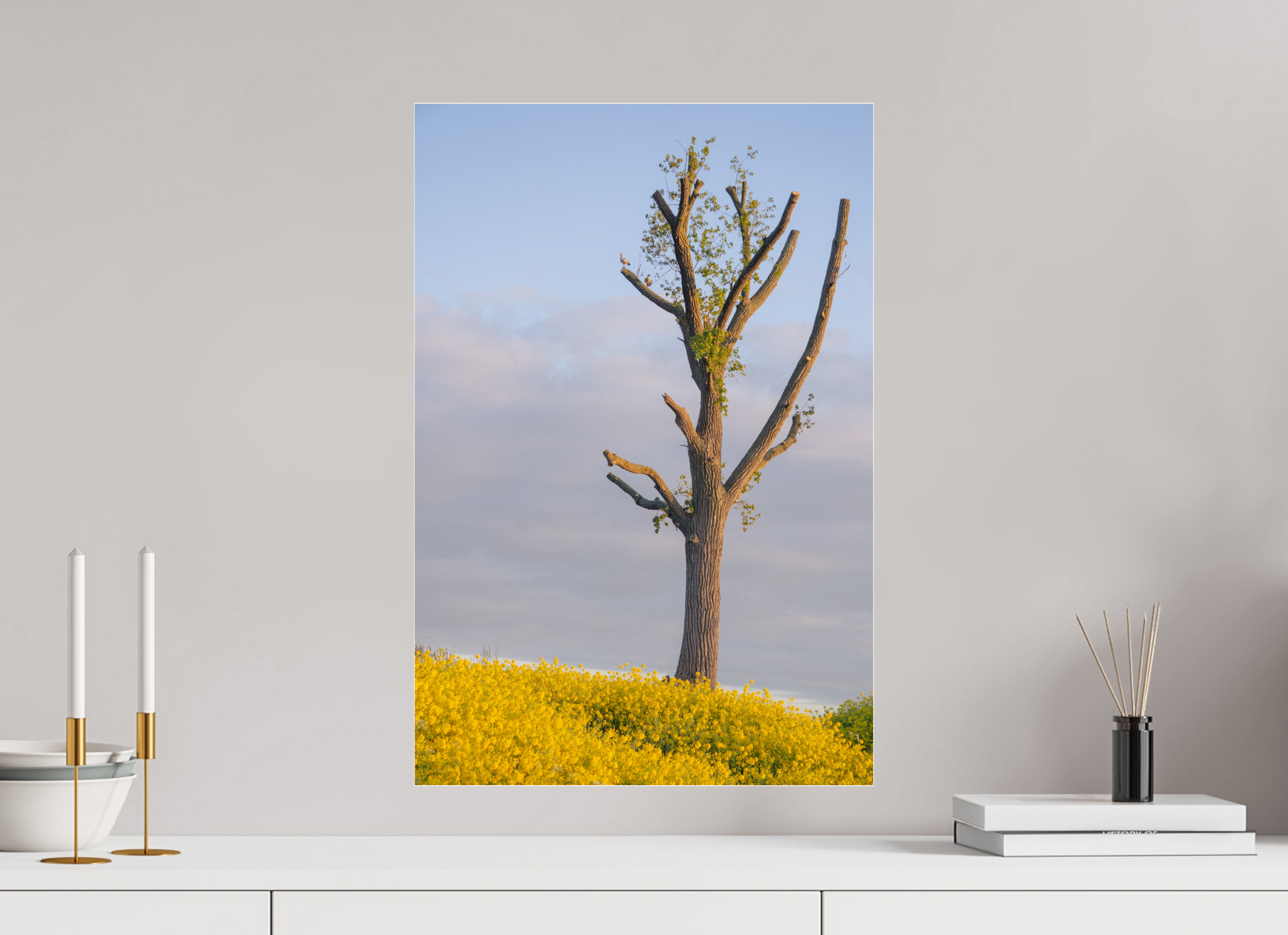 40 x 59,4 cm, Photo Print Under Acrylic Glass The Quiet Tree