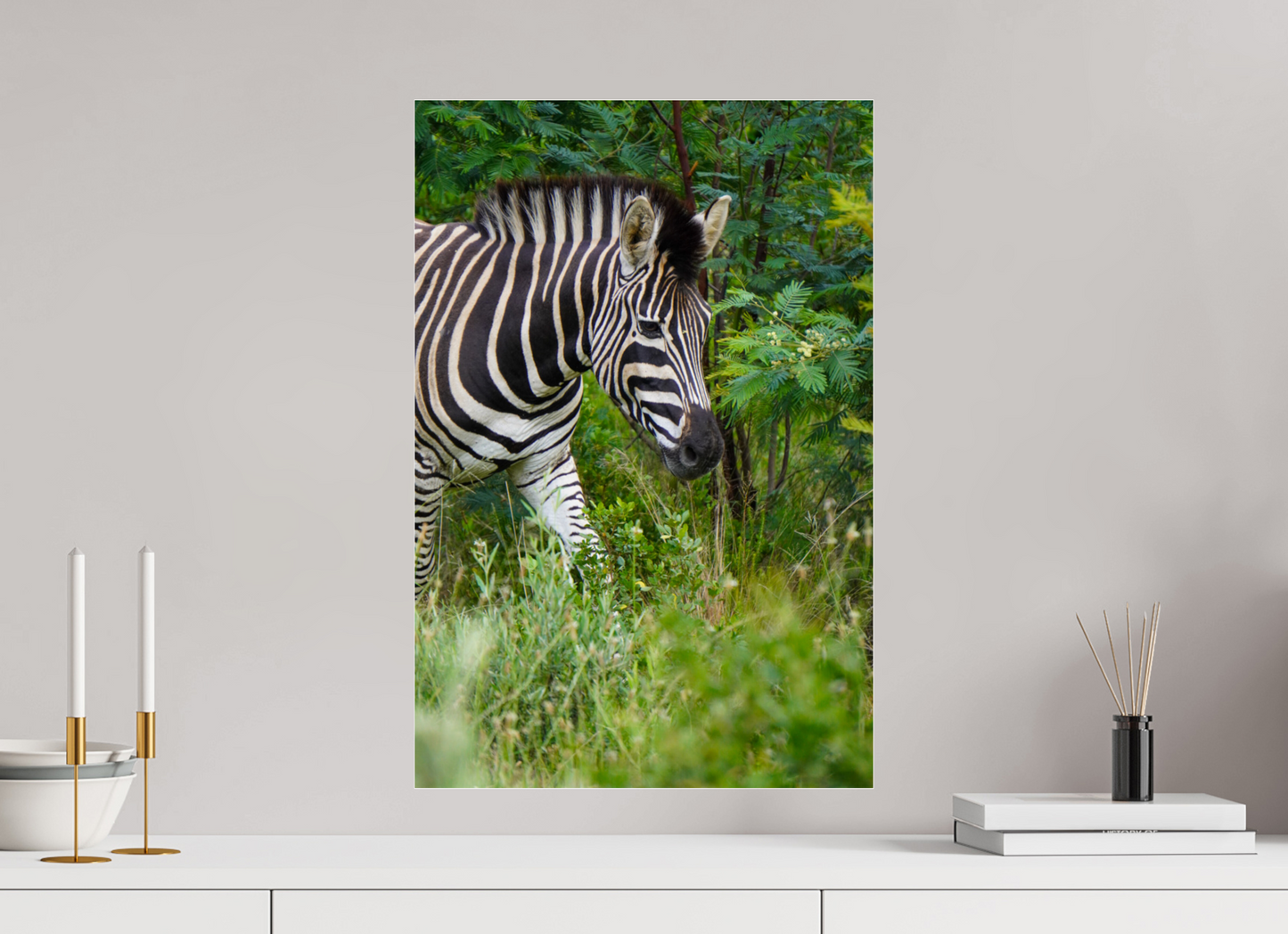 40 x 60 cm, Photo Print Under Acrylic Glass Zebra