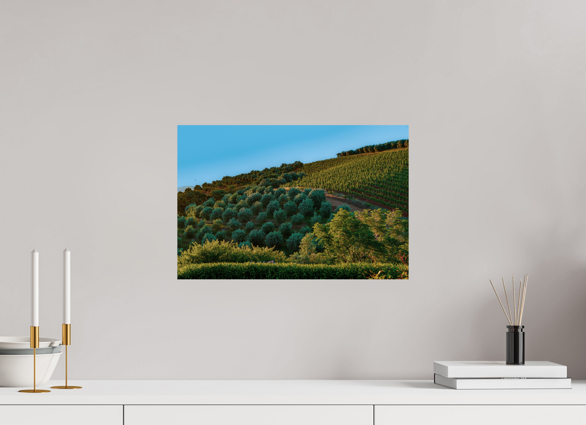 45 x 30 cm, Photo Print On Fuji Crystal DP II Stellenbosch fields