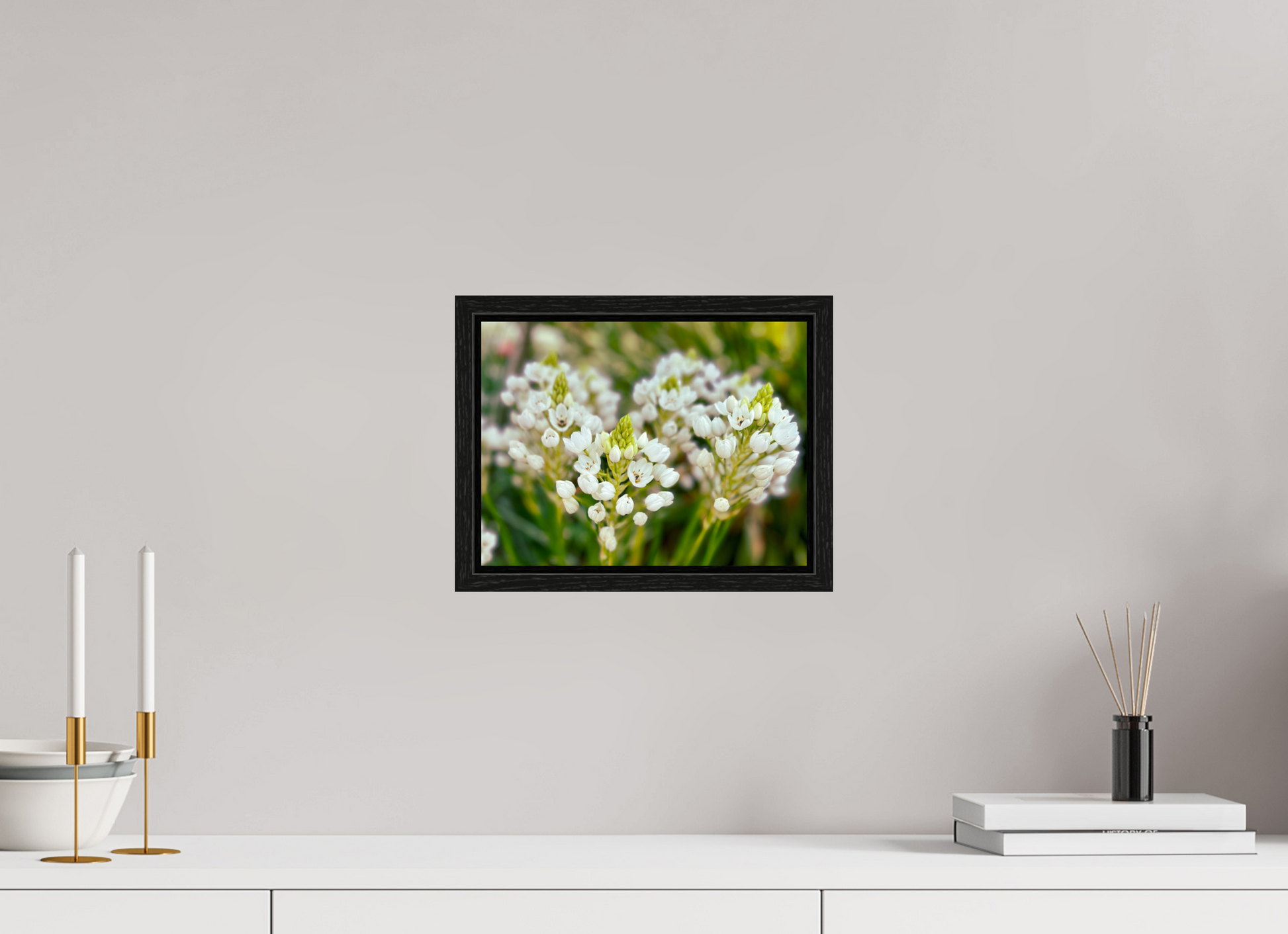 28 x 21 cm, Floater Frame Ornithogalum Arabicum