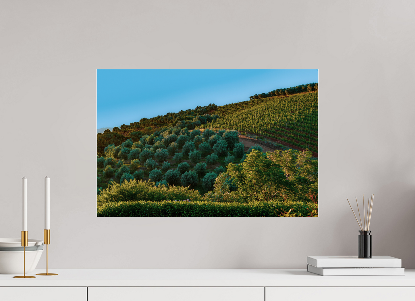 60 x 40 cm, Photo Print Under Acrylic Glass Stellenbosch fields