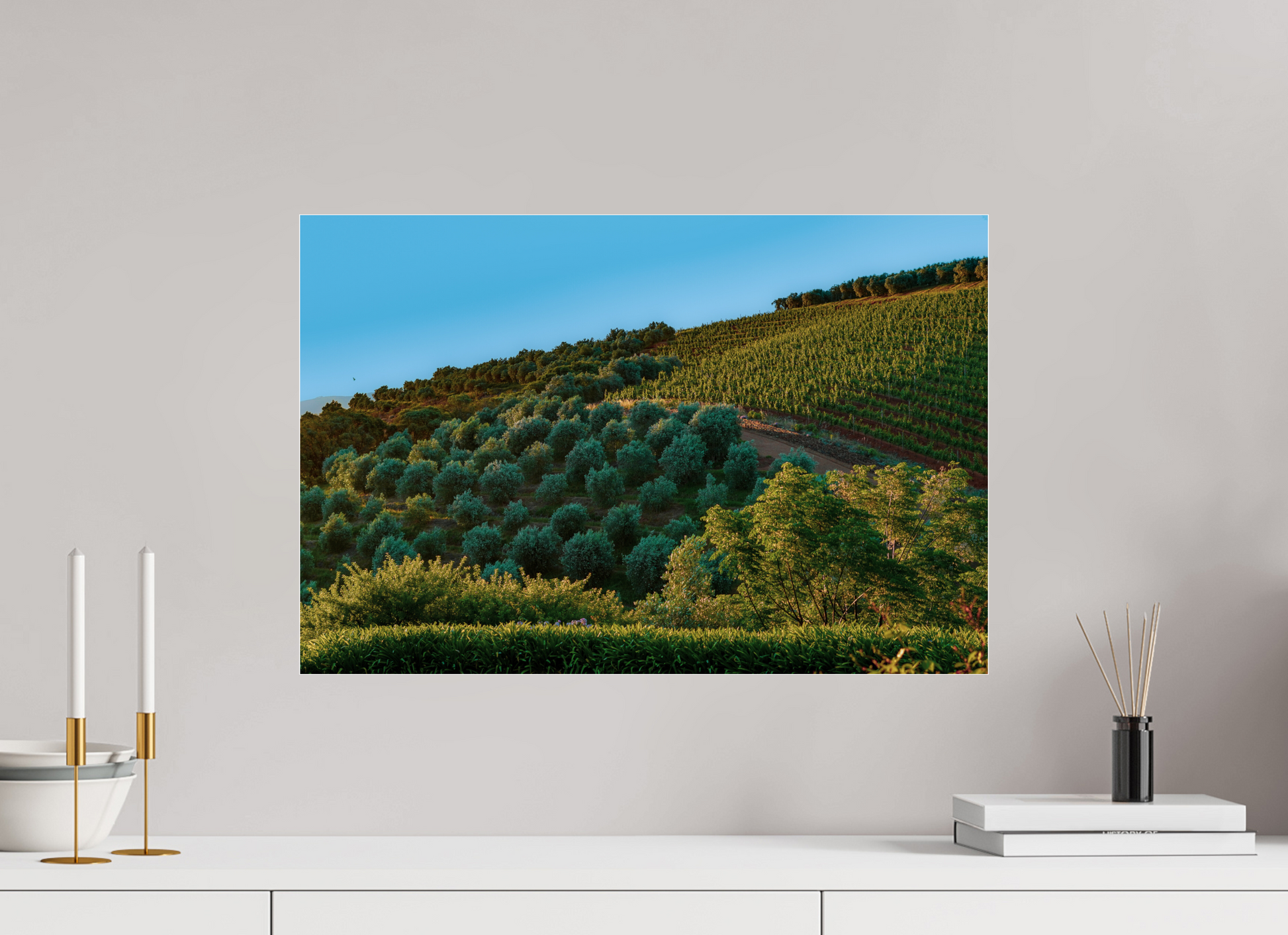 60 x 40 cm, Photo Print Under Acrylic Glass Stellenbosch fields