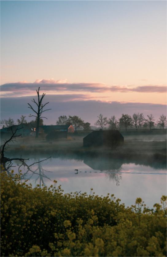 Main image The Quiet Crossing