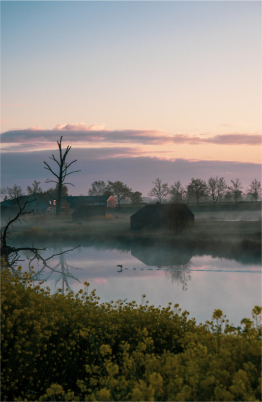 Main image The Quiet Crossing