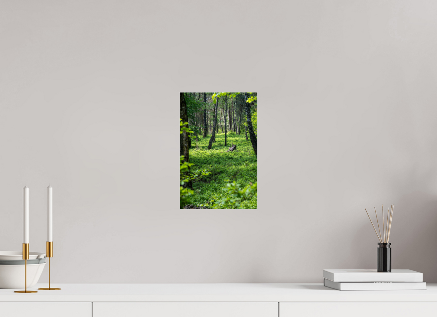 20 x 30 cm, Photo Print Under Acrylic Glass The Forest Heart