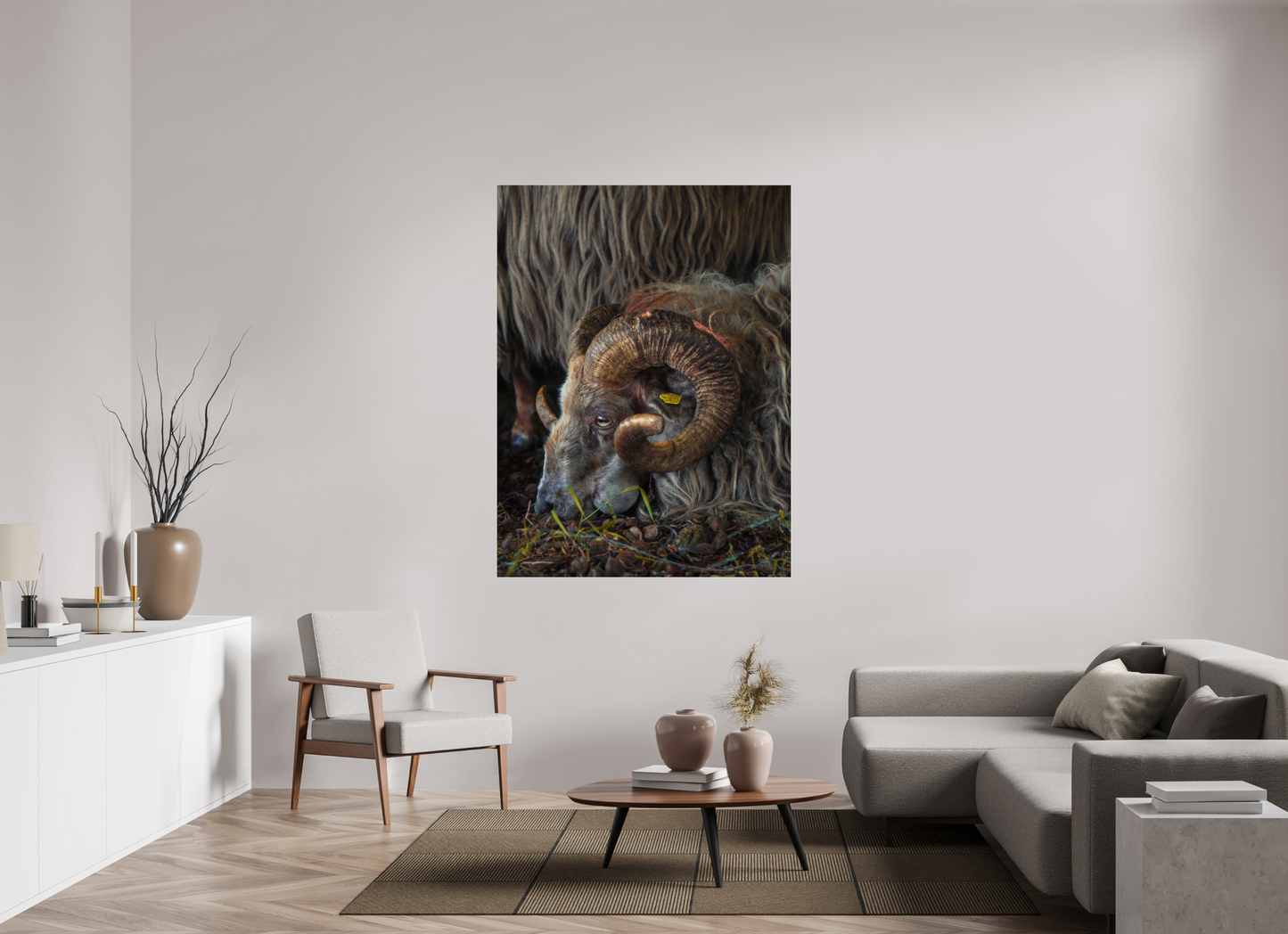 120 x 160 cm, Photo Print Under Acrylic Glass Drentse heidenschaap