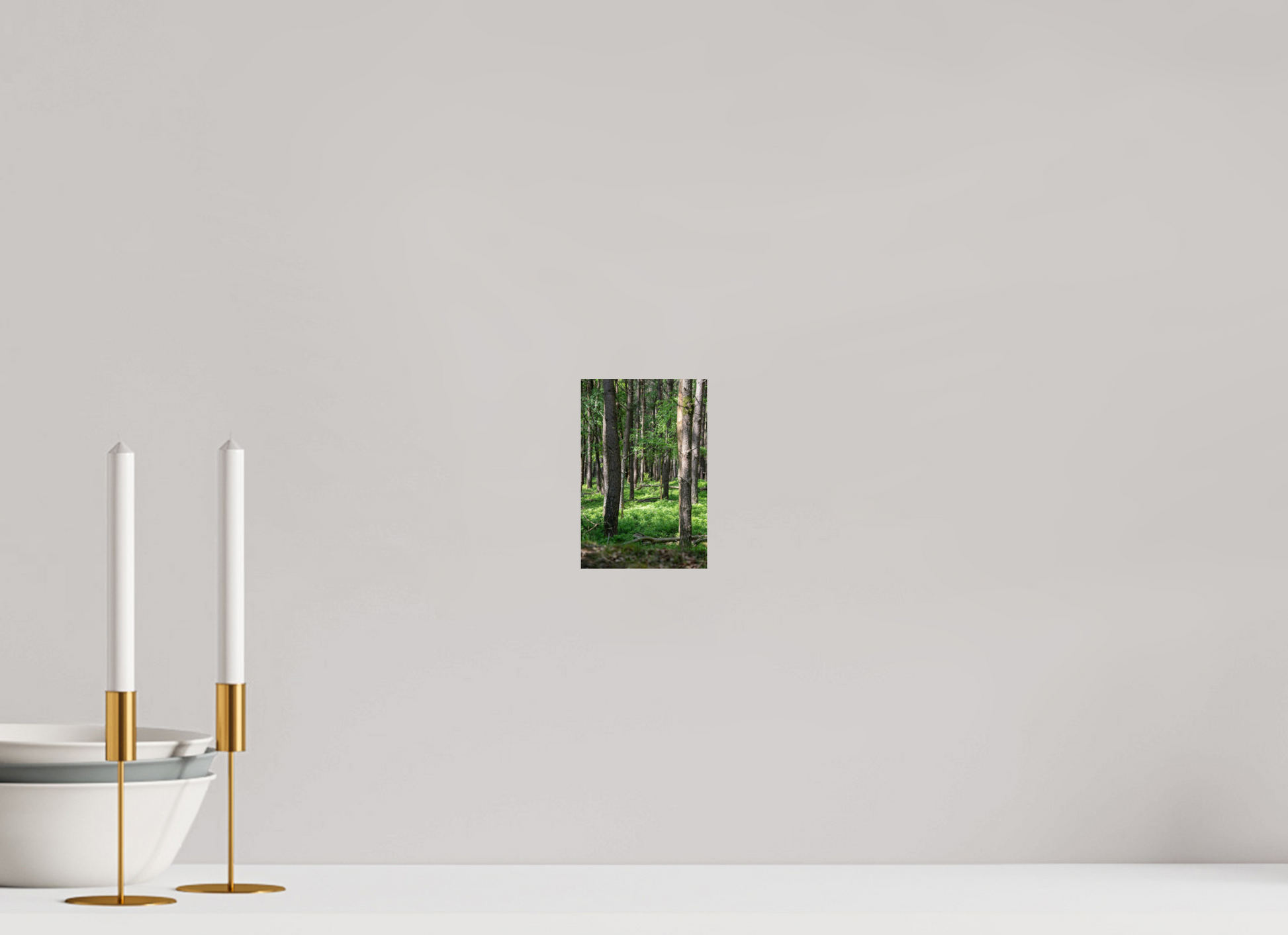 10 x 15 cm, Photo Print On Fuji Crystal DP II Forest Stillness