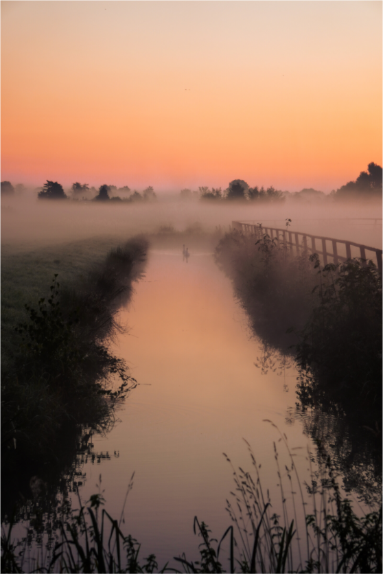 Main image Two Souls at Dawn