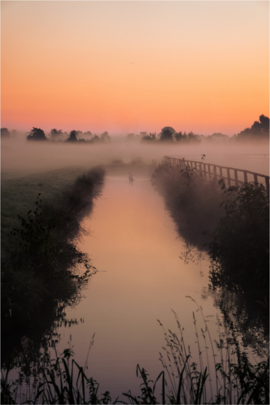 Main image Two Souls at Dawn