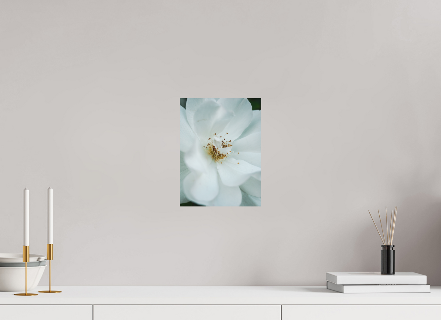 21 x 28 cm, Photo Print On Fuji Crystal DP II White camelia