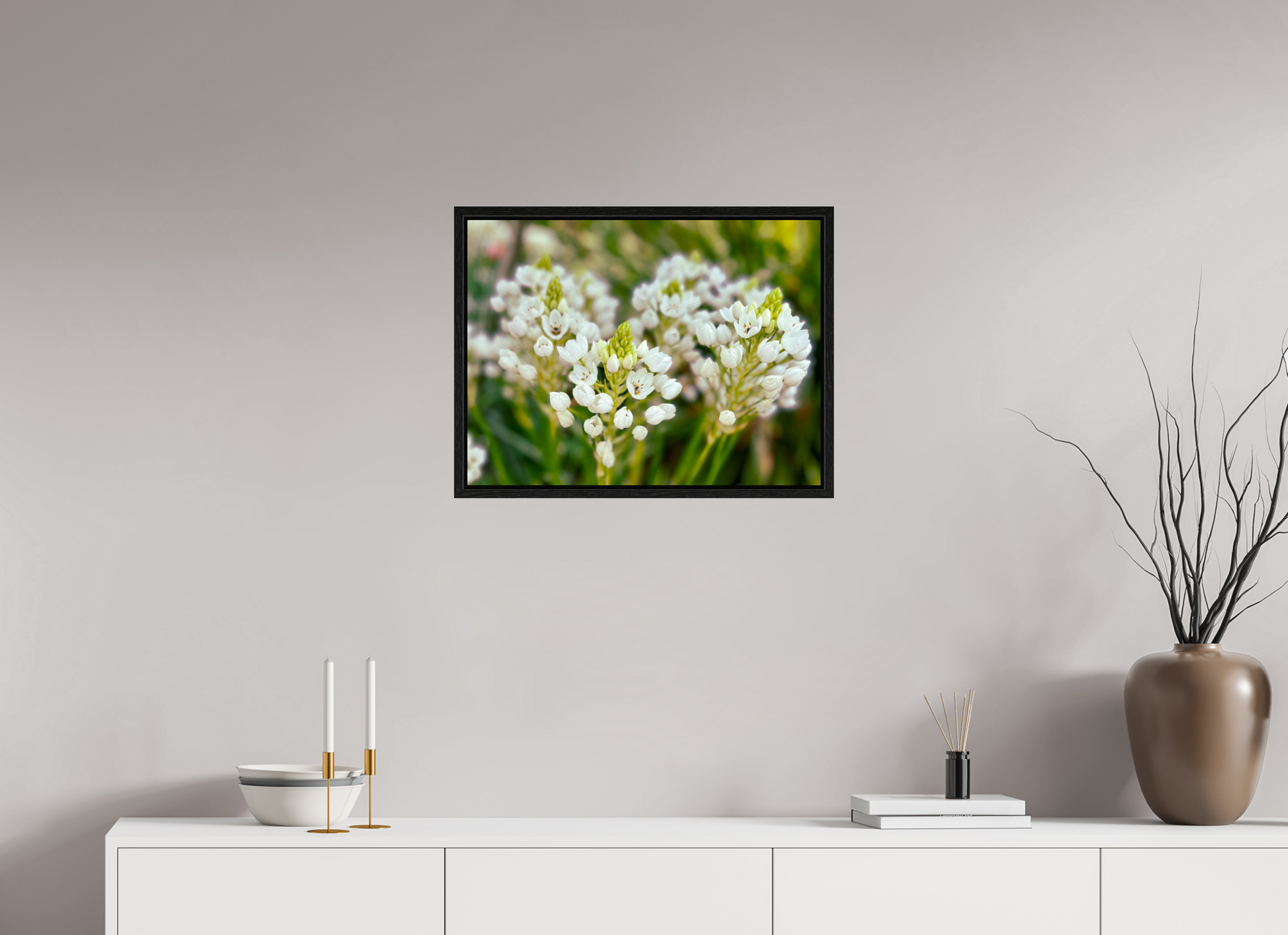 60 x 45 cm, Floater Frame Ornithogalum Arabicum