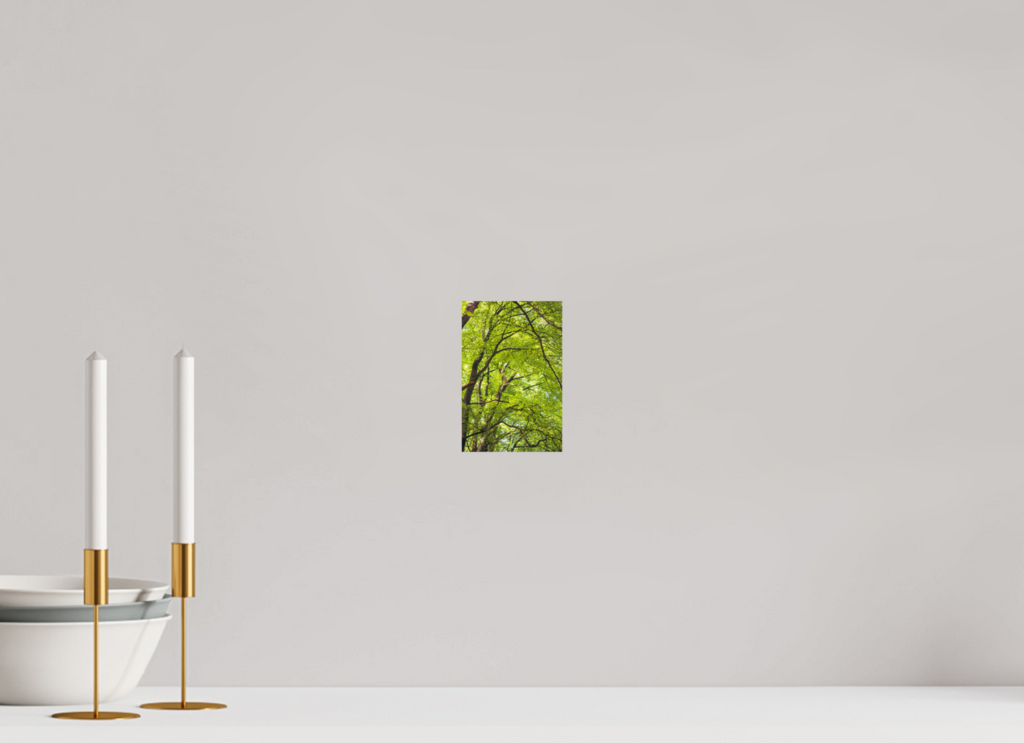 10 x 15 cm, Photo Print On Fuji Crystal DP II The Green Above