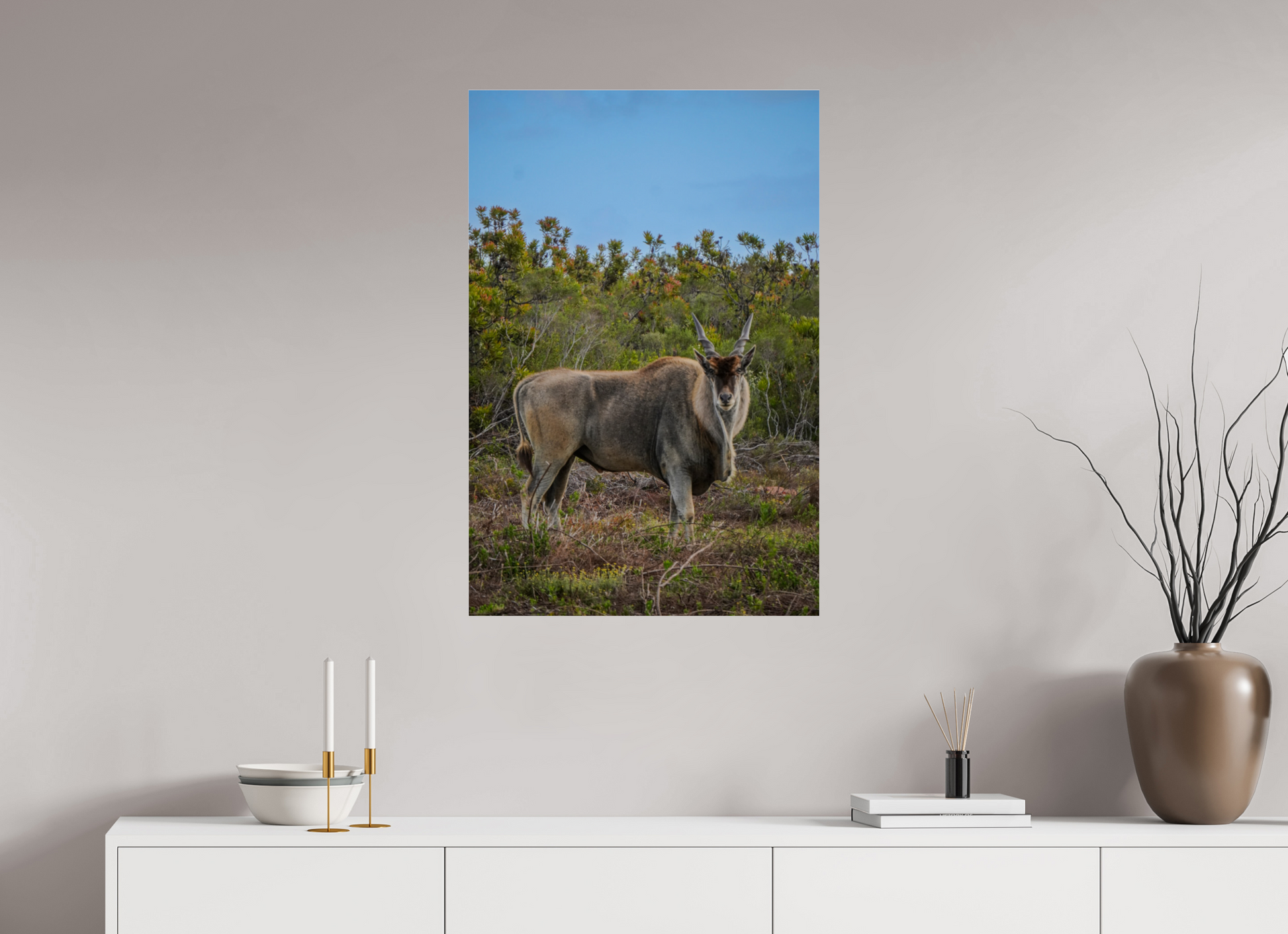 60 x 90 cm, Photo Print Under Acrylic Glass Eland Antilope